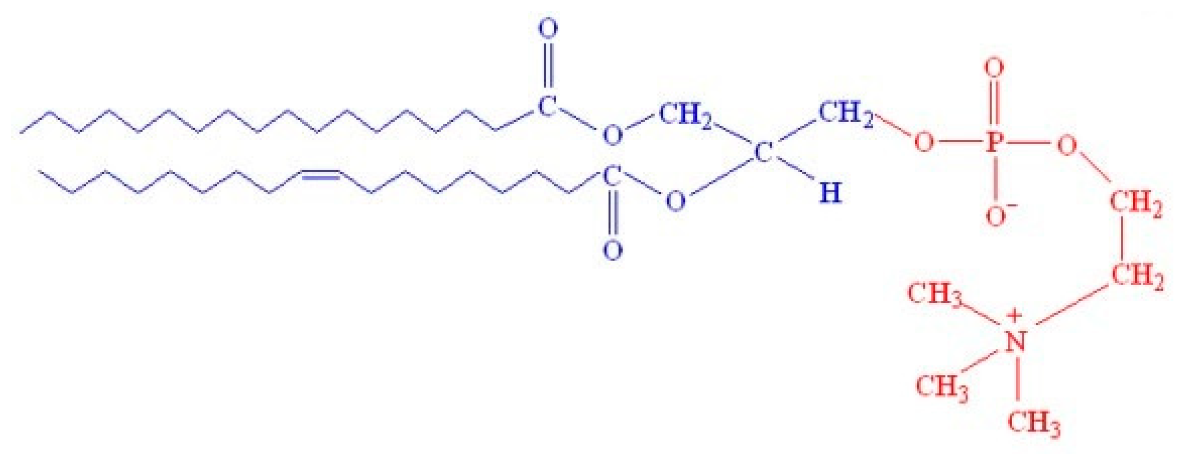 Processes 10 02324 sch002