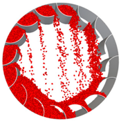 Processes 10 02339 i031