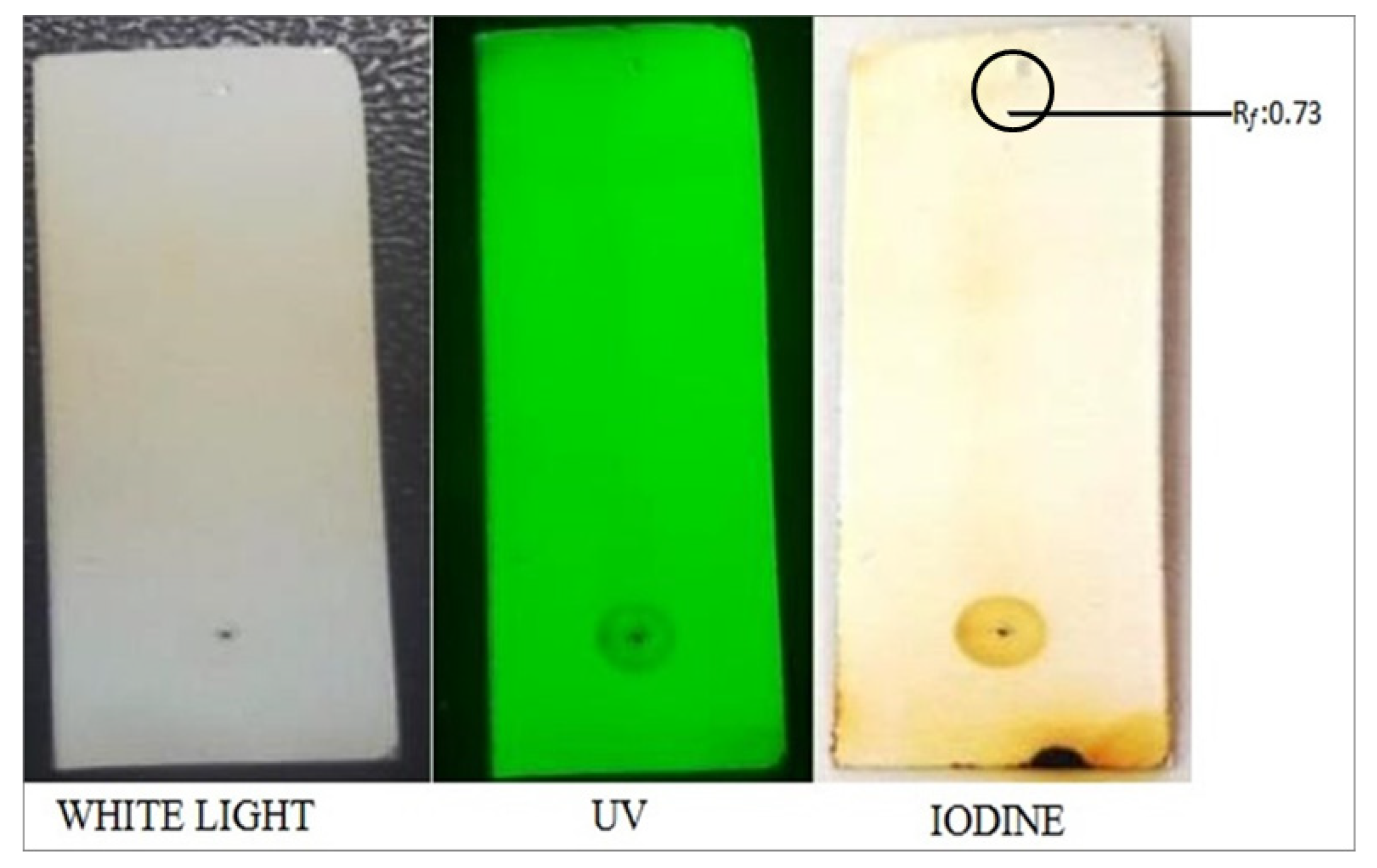 Processes 10 02341 g003