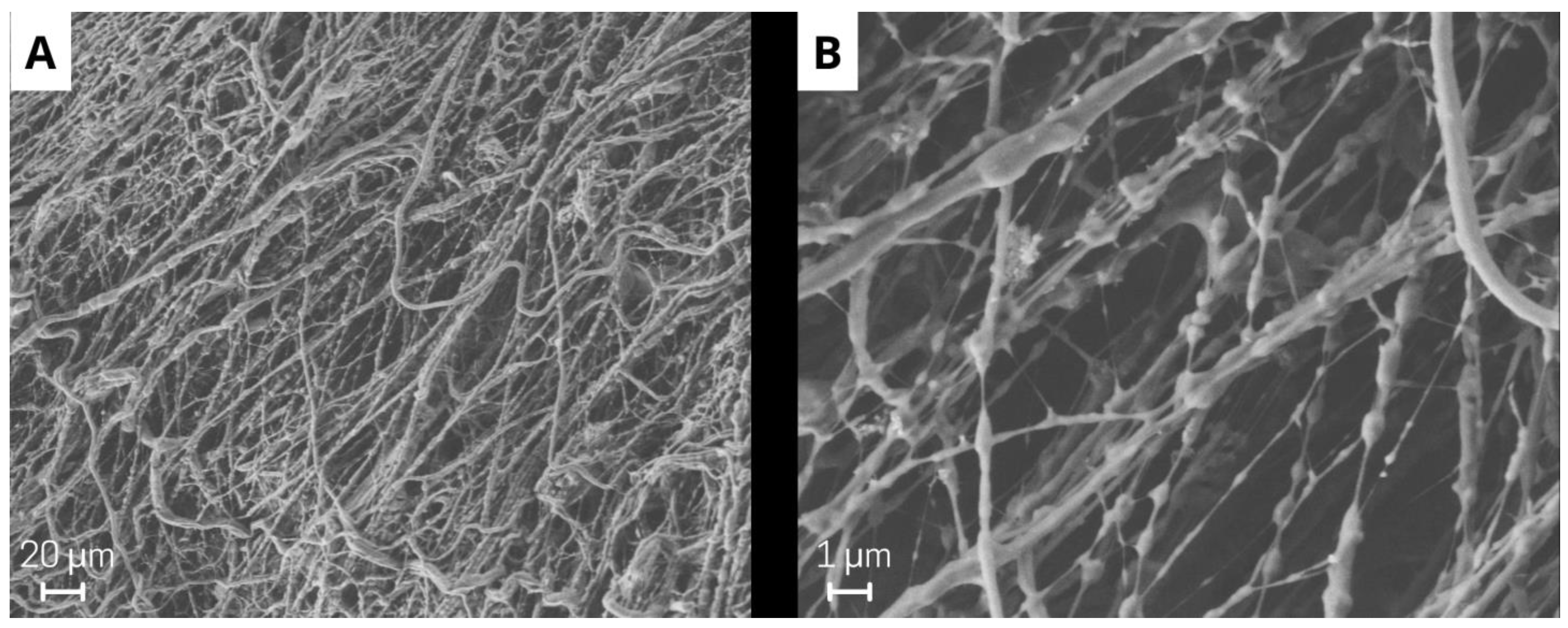 Processes 10 02343 g001