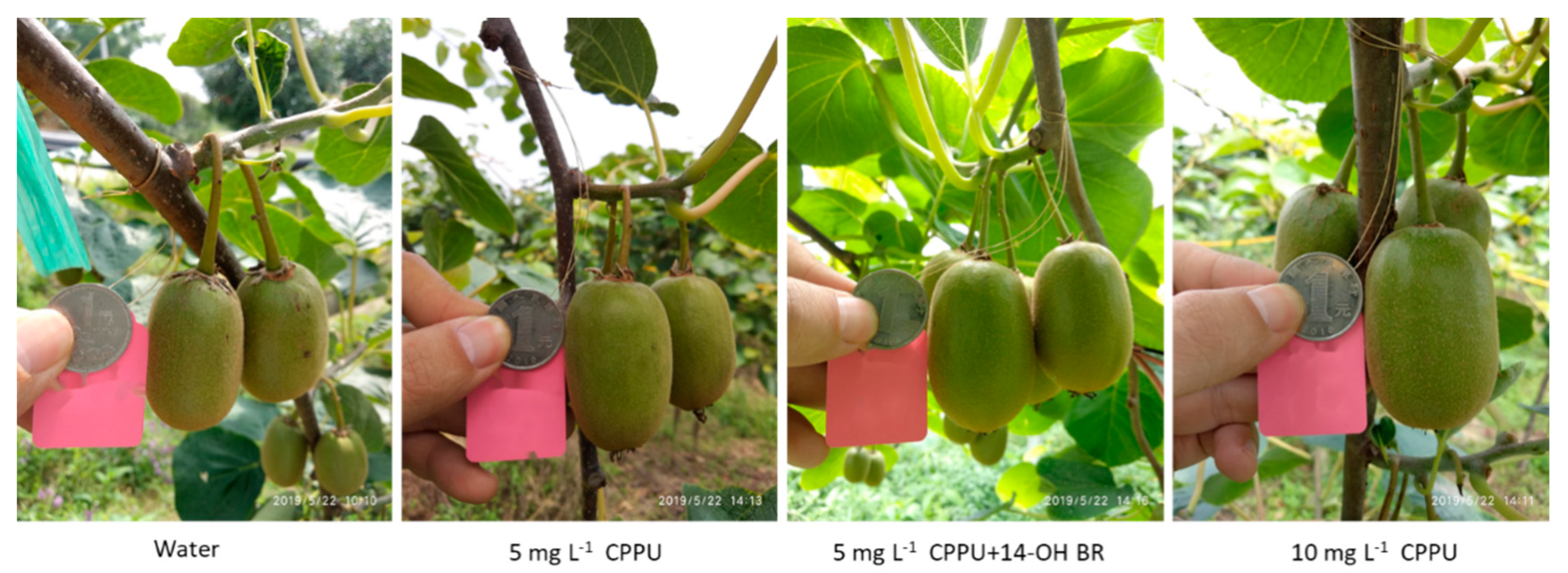 Processes 10 02345 g003 Processes 10 02345 g003