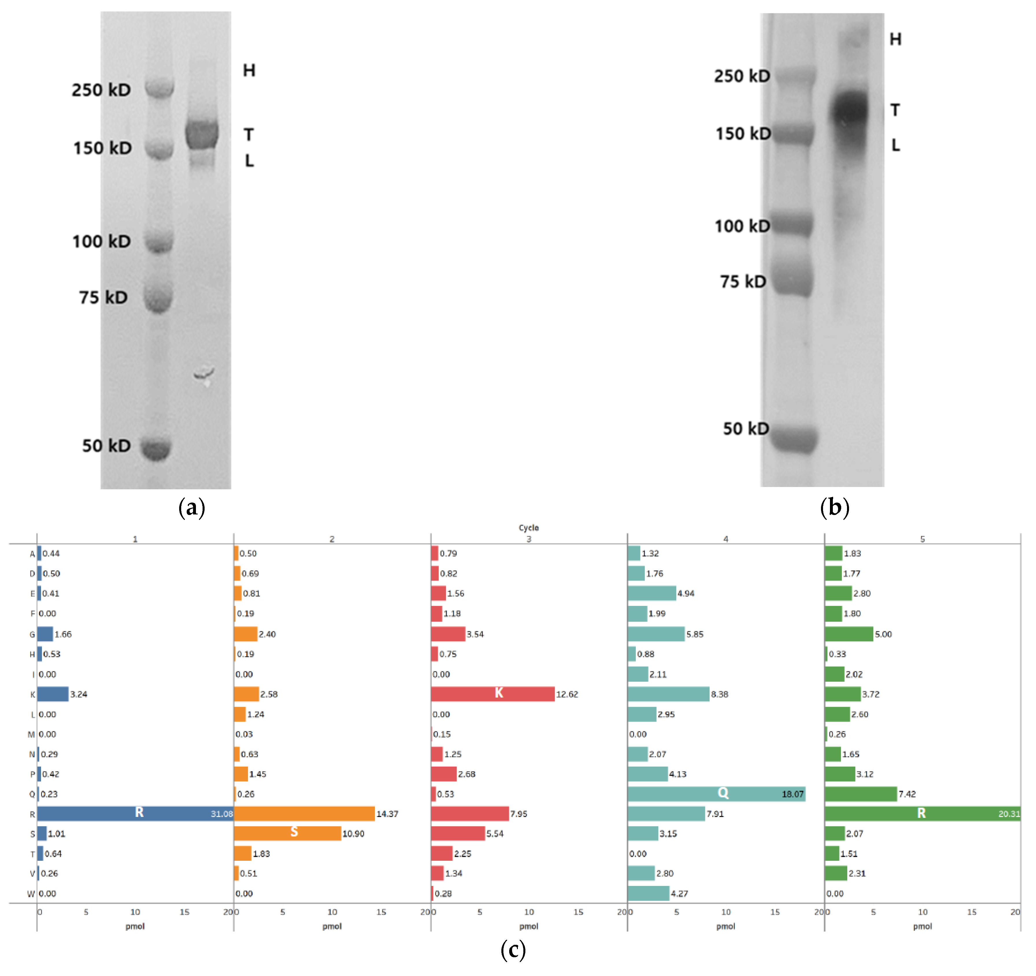 Processes 10 02359 g002a