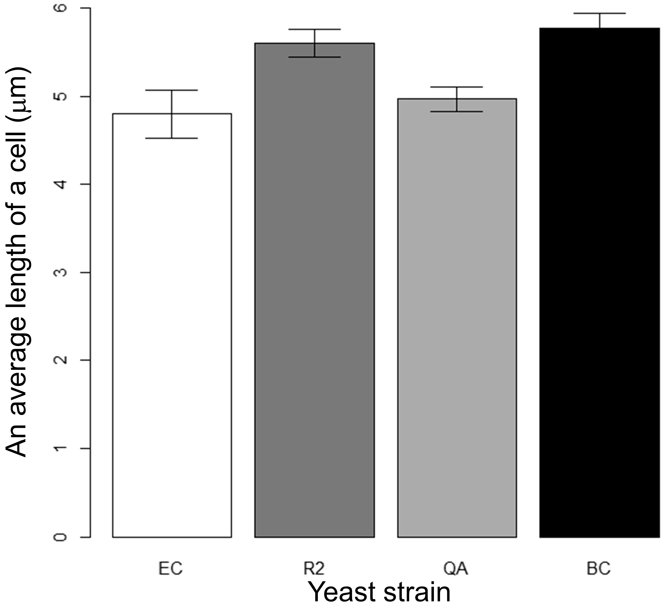 Processes 10 02396 g004