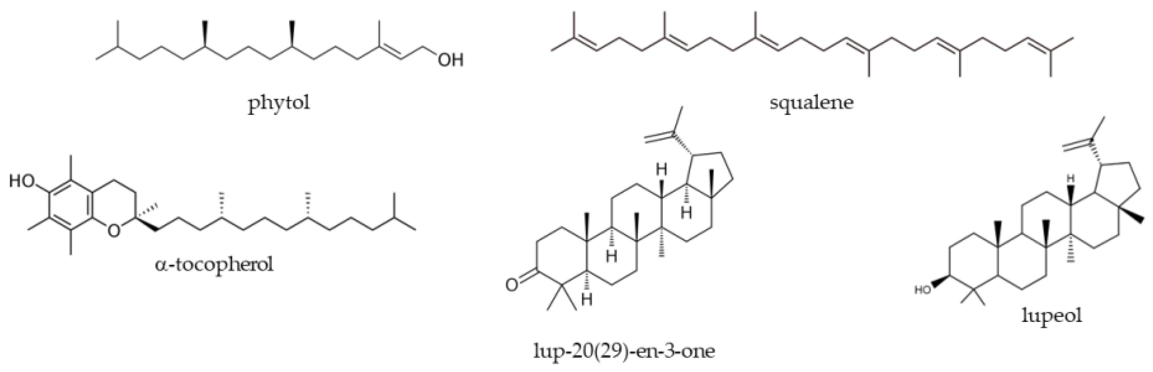 Processes 10 02429 g003 Processes 10 02429 g003