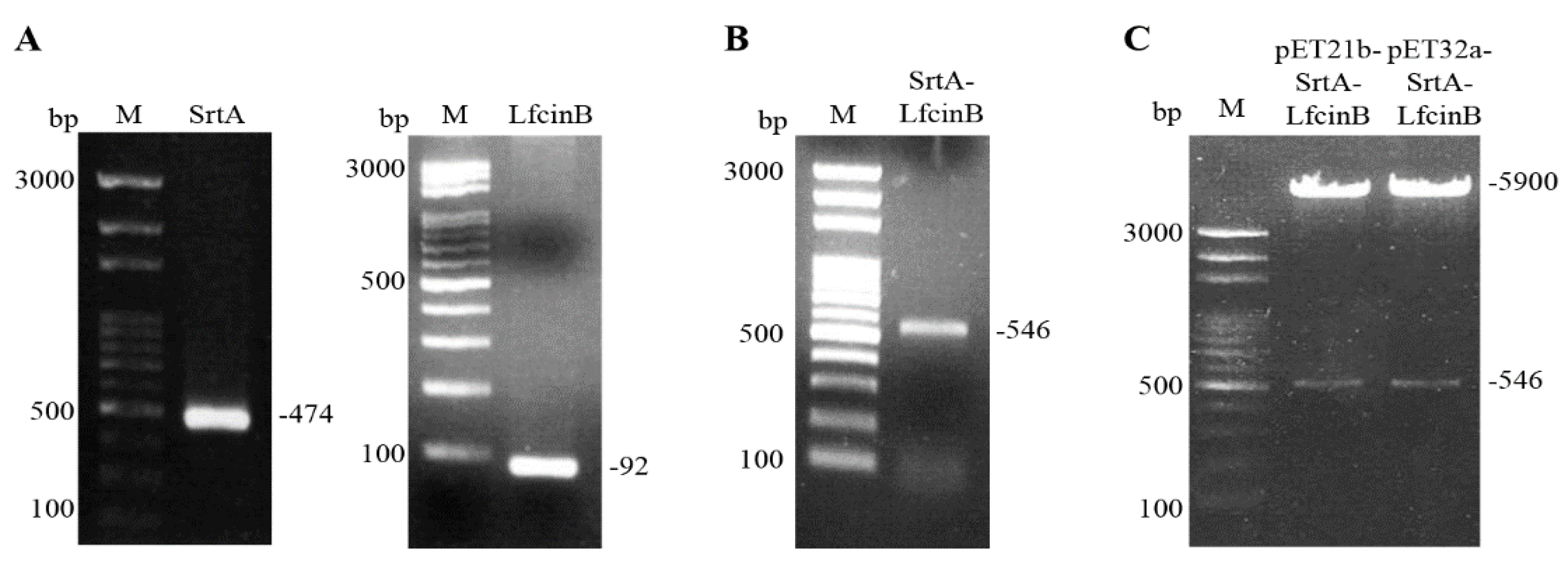 Processes 10 02470 g002