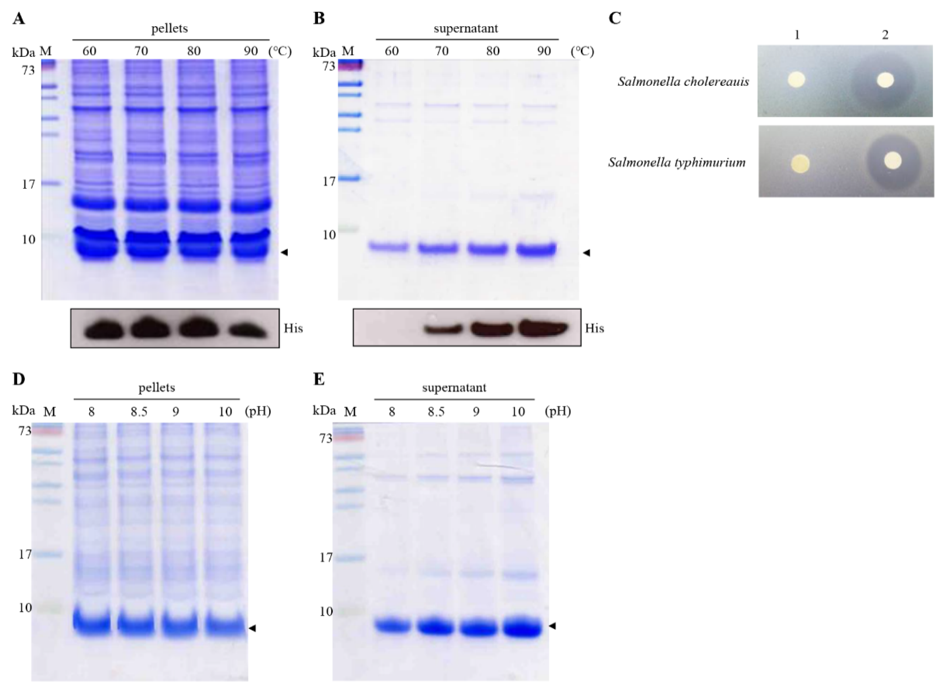 Processes 10 02470 g006