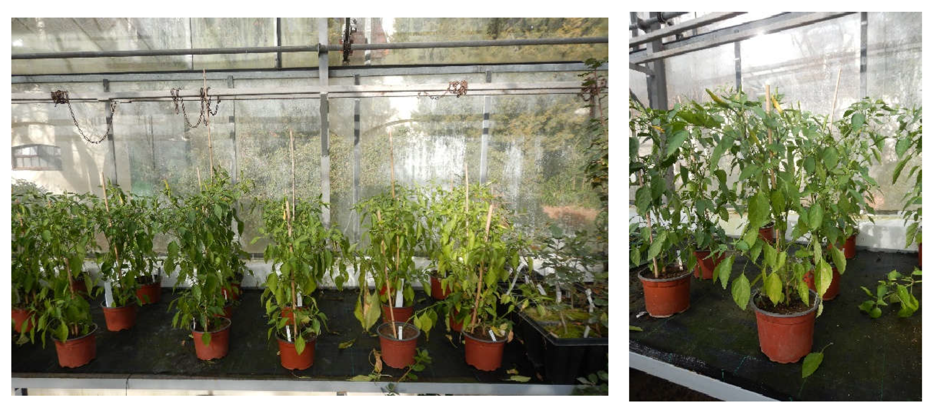 Processes 10 02478 g006