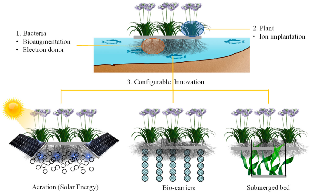 Processes 10 02486 g003 Processes 10 02486 g003