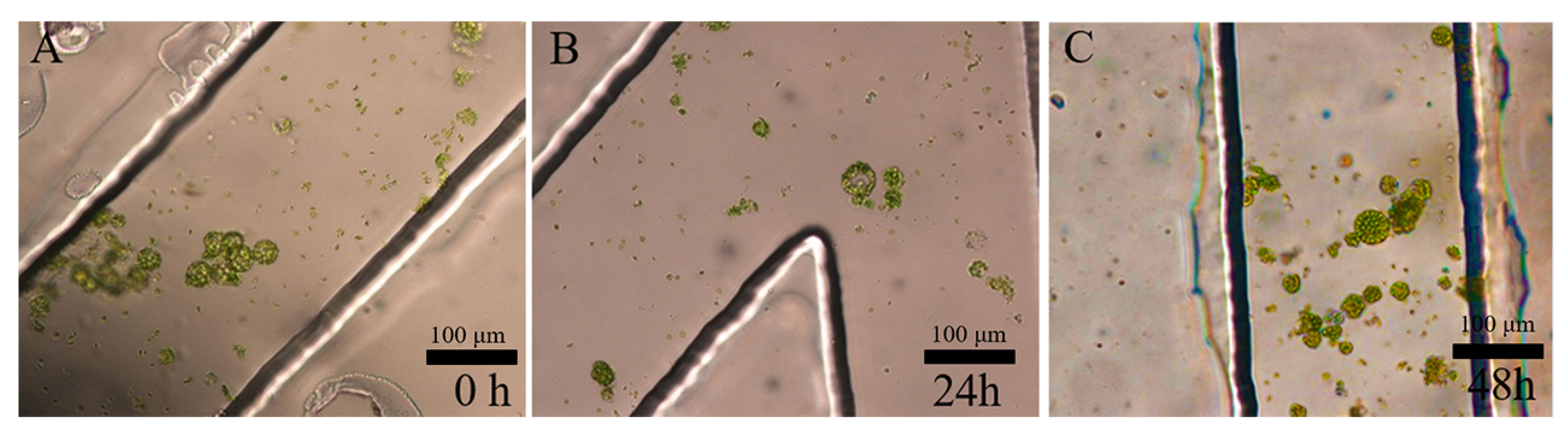 Processes 10 02507 g001 Processes 10 02507 g001