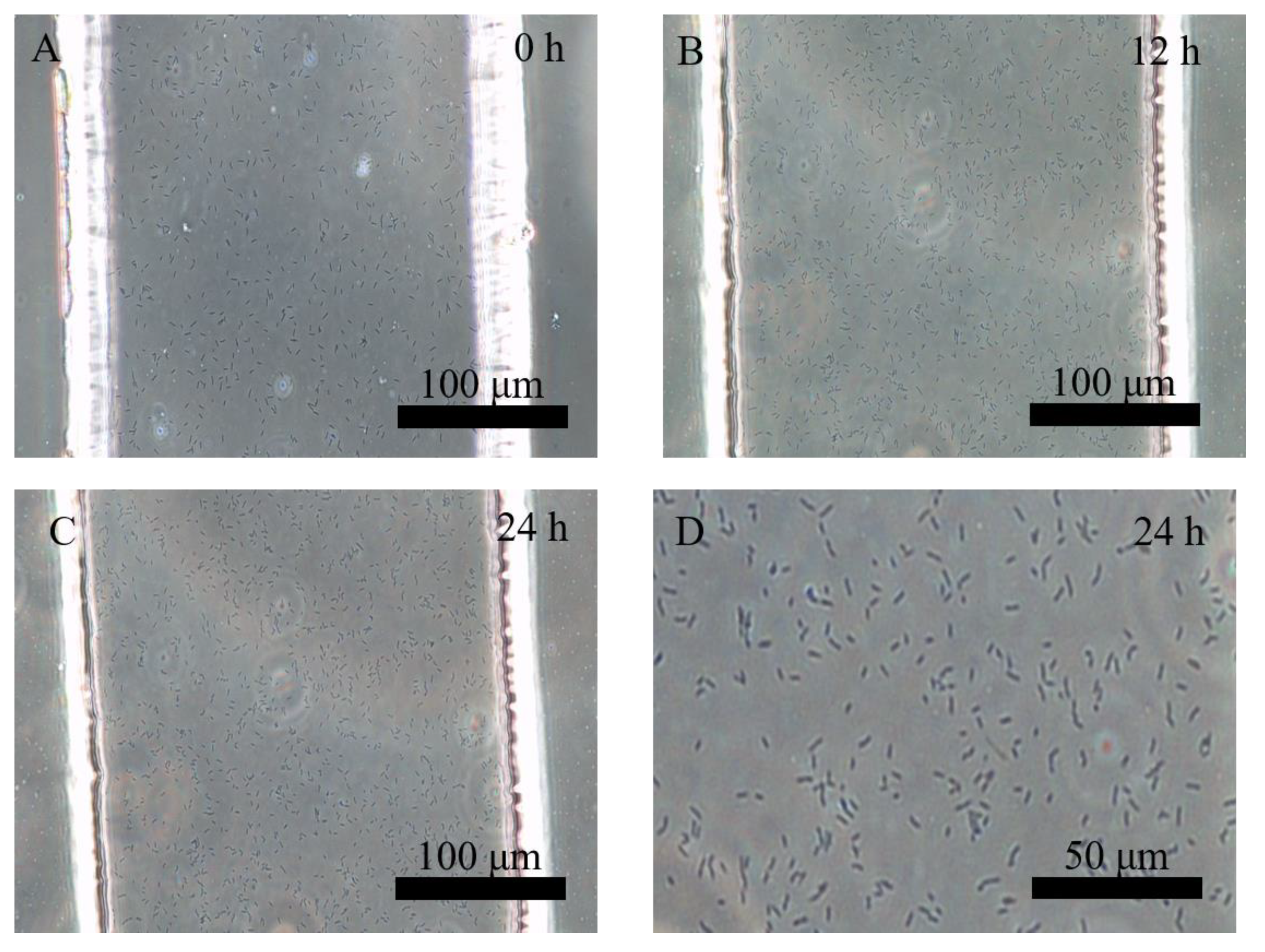 Processes 10 02507 g004 Processes 10 02507 g004