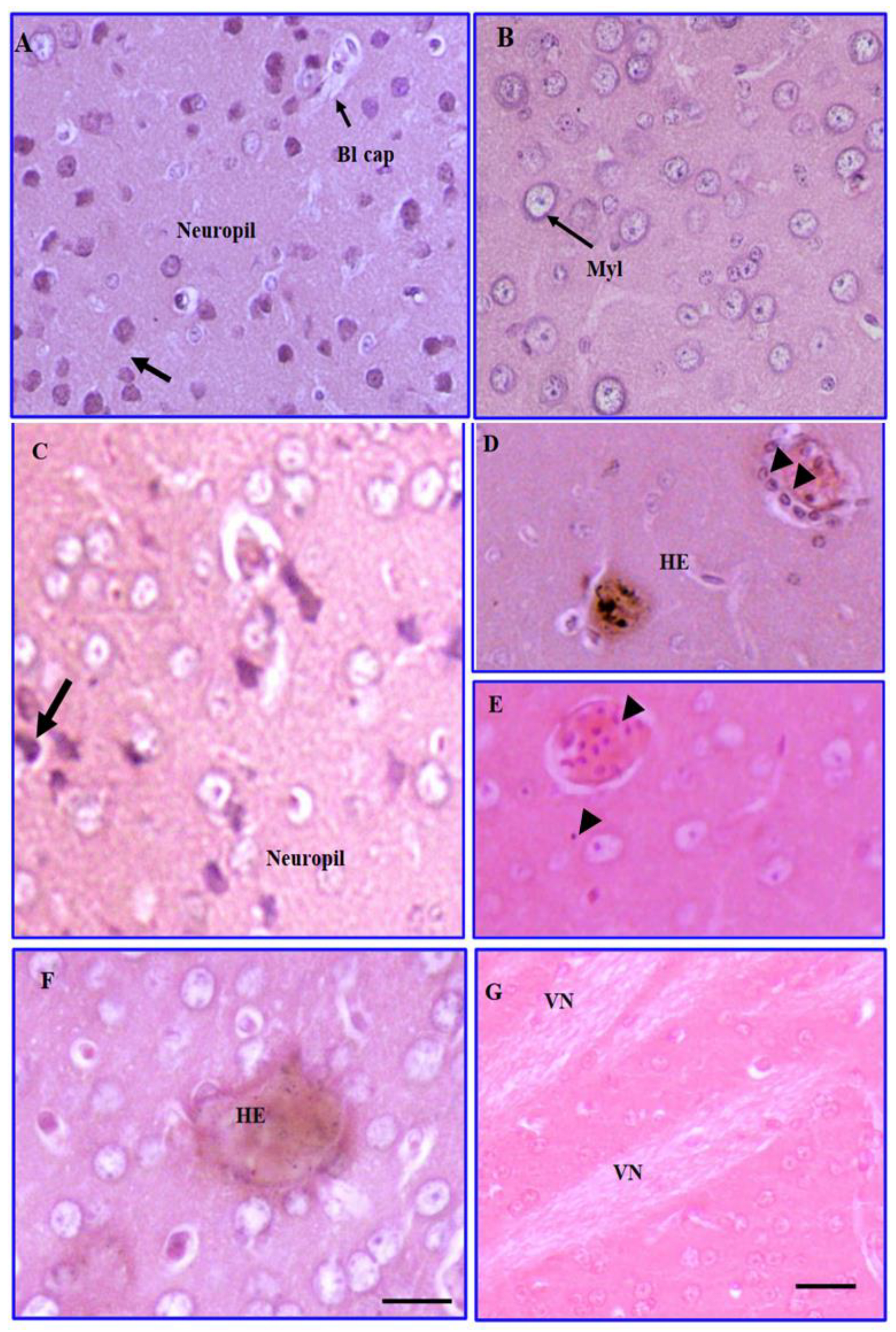 Processes 10 02551 g003