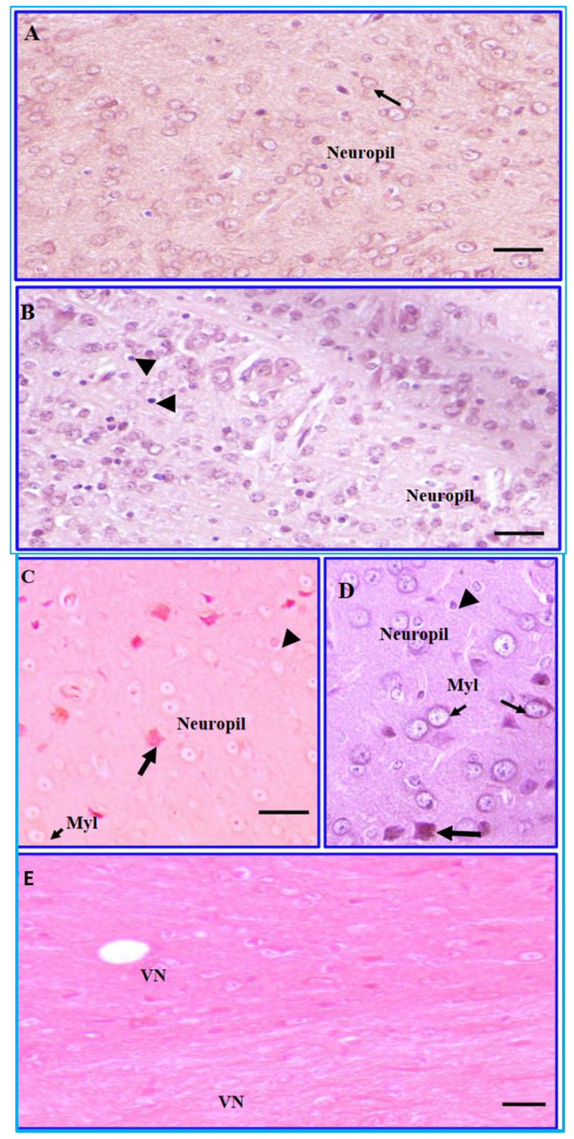 Processes 10 02551 g004