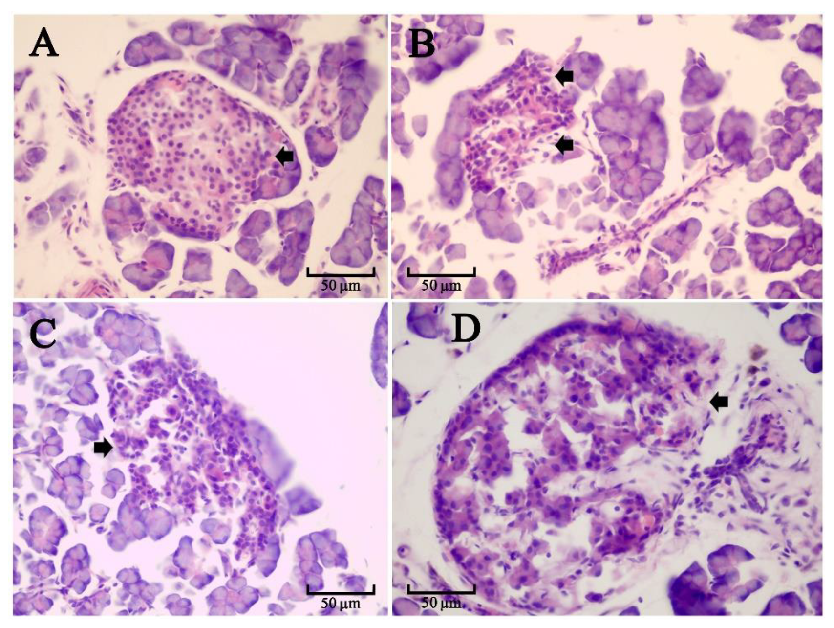 Processes 10 02553 g005 Processes 10 02553 g005