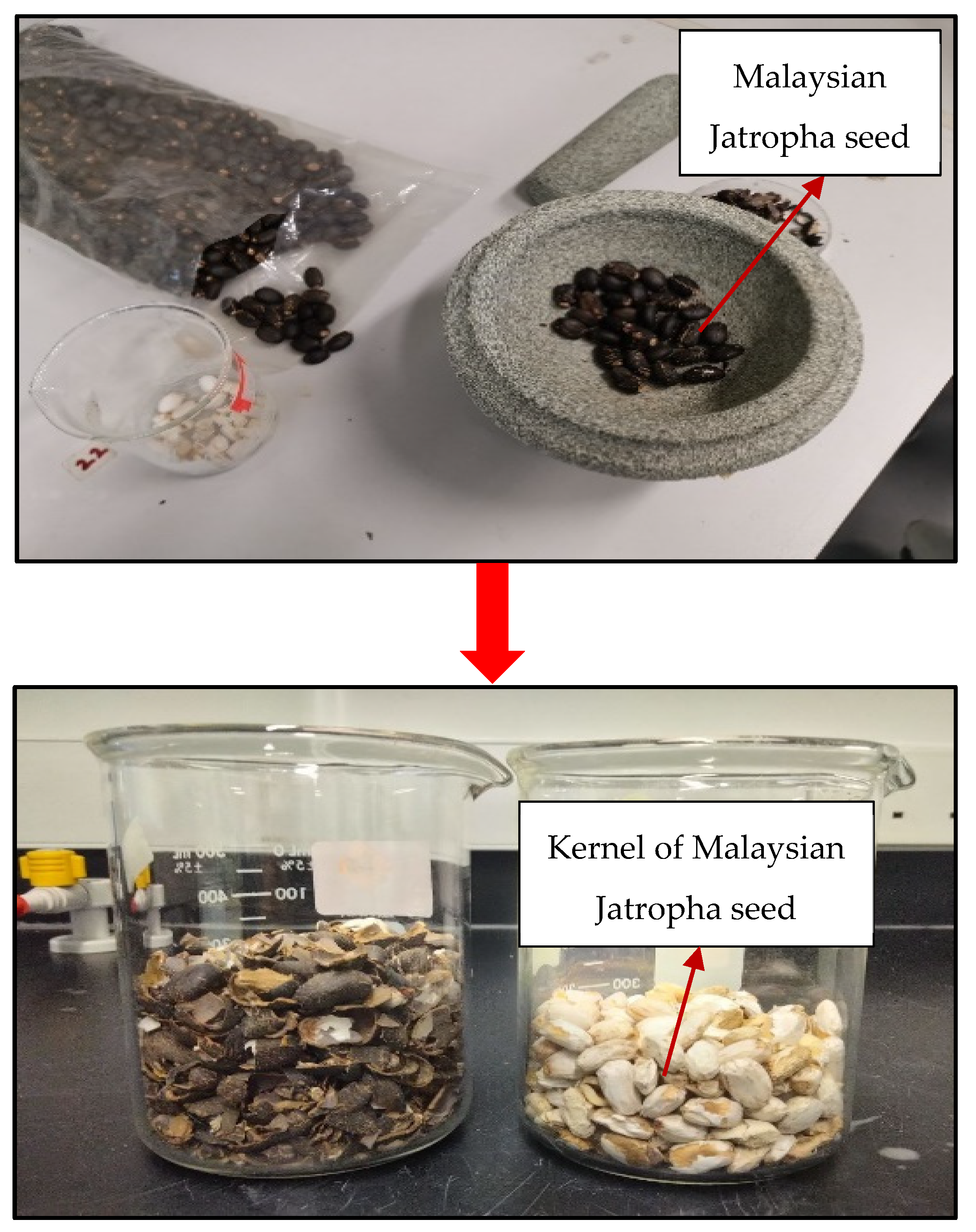 Processes 10 02577 g001 Processes 10 02577 g001