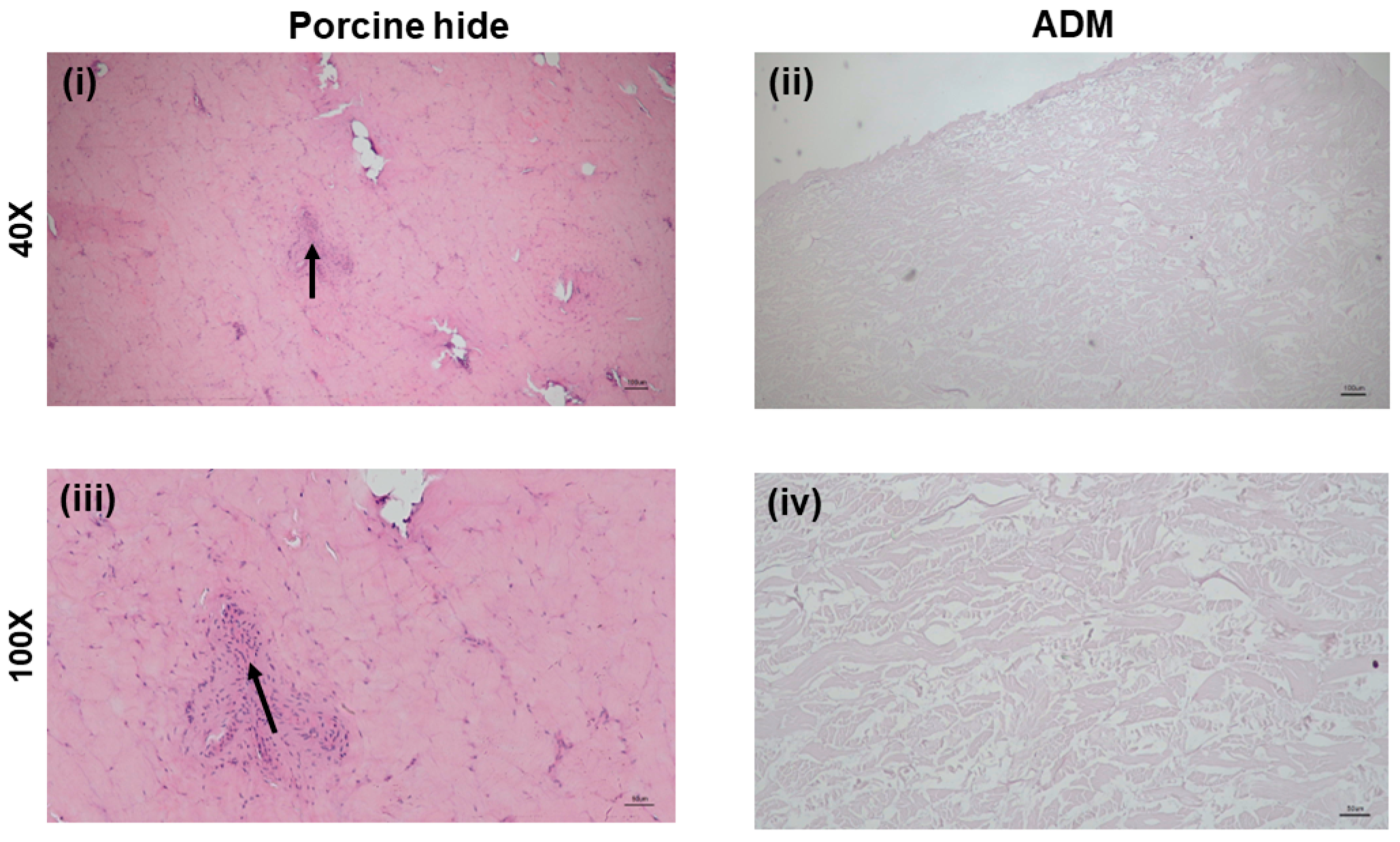 Processes 10 02588 g001