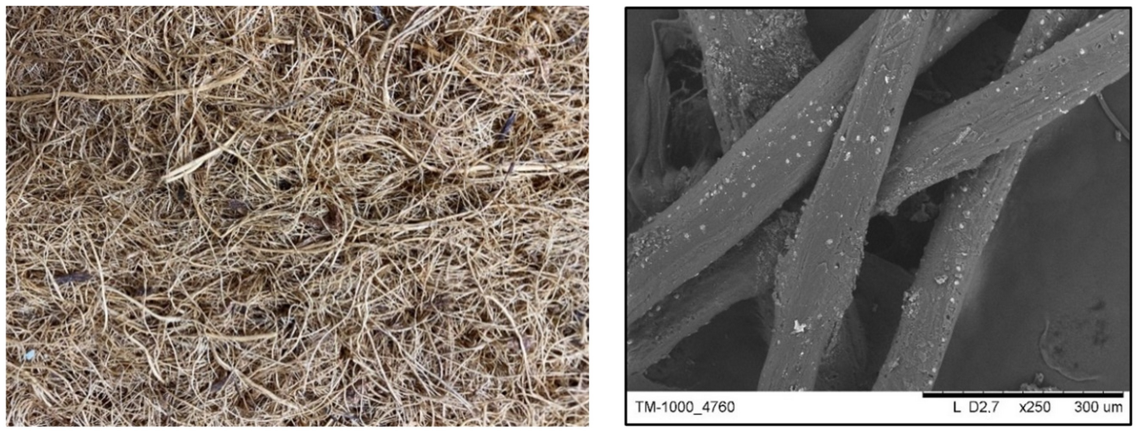 Processes 10 02598 g001 Processes 10 02598 g001