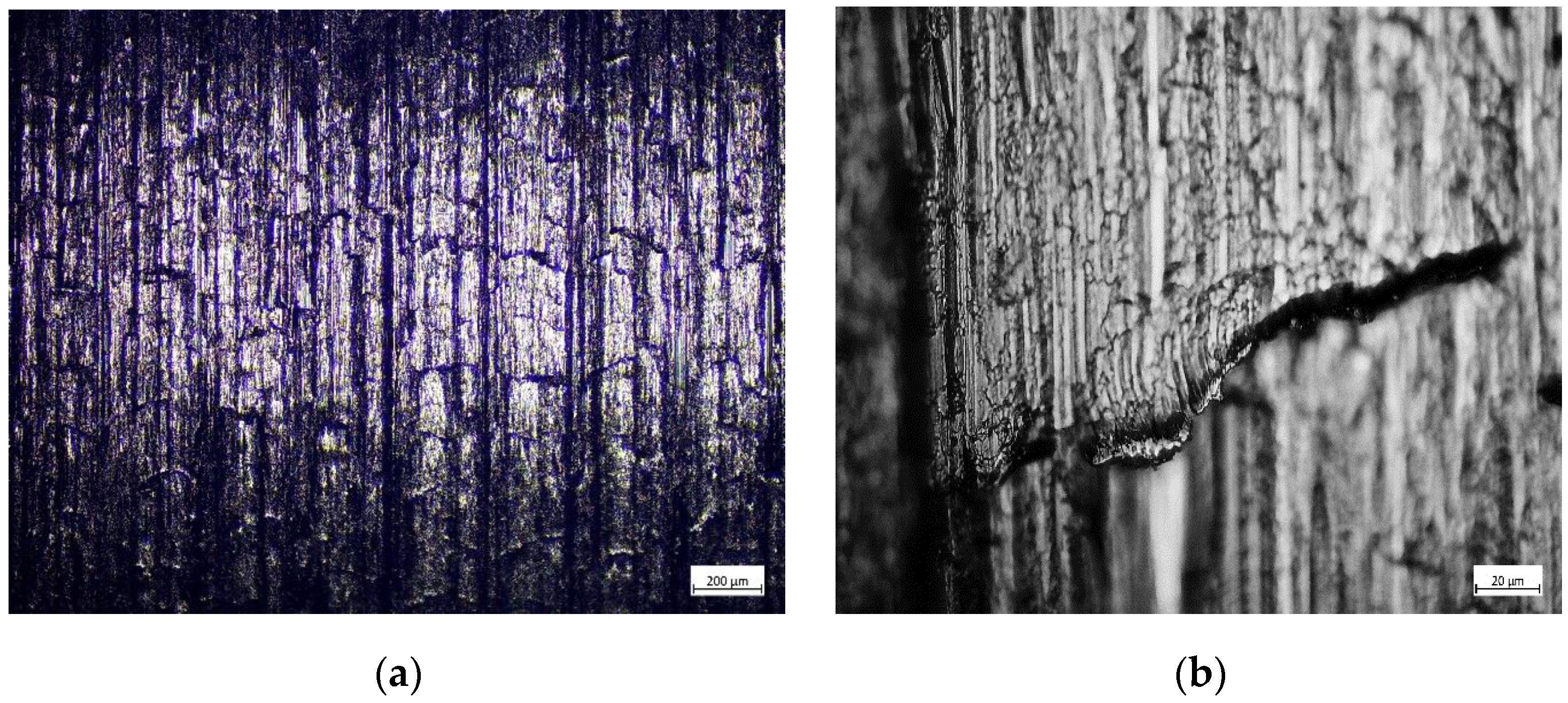 Processes 10 02599 g011 Processes 10 02599 g011