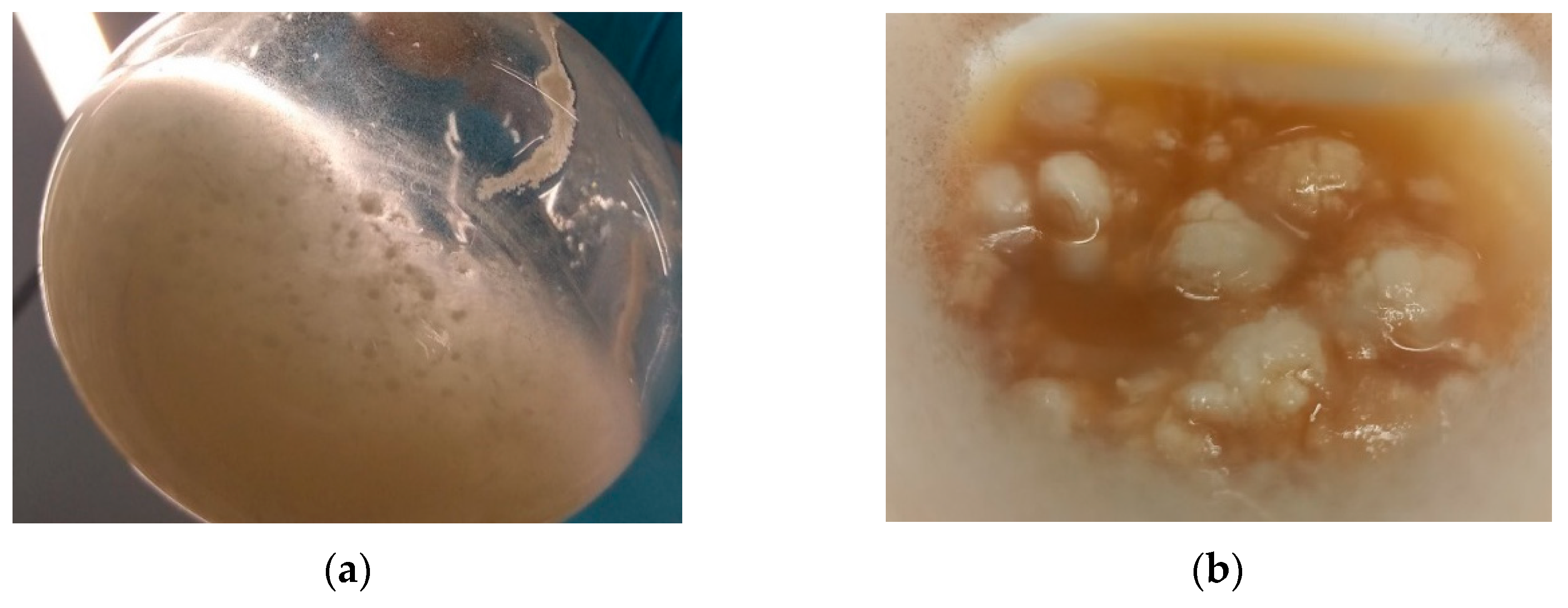 Processes 10 02624 g003 Processes 10 02624 g003