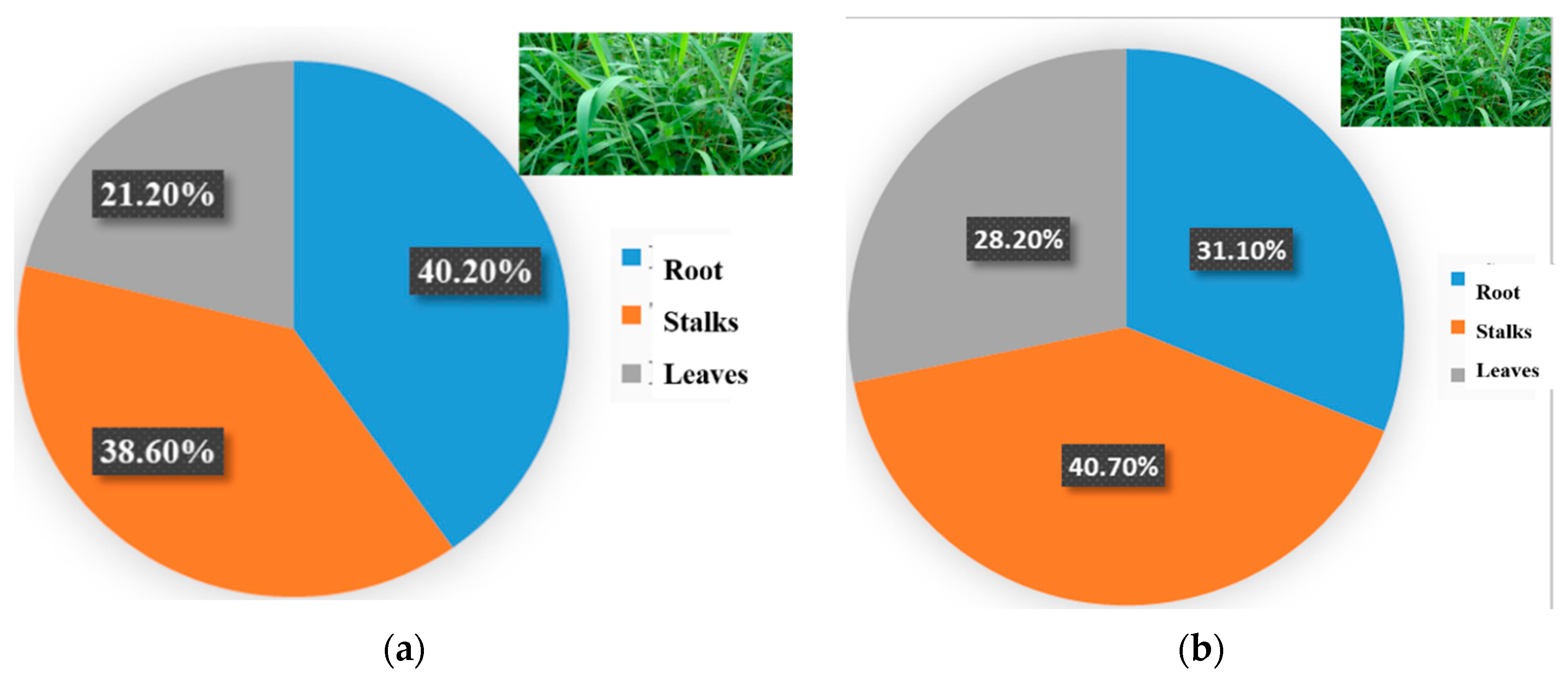 Processes 10 02636 g008 550