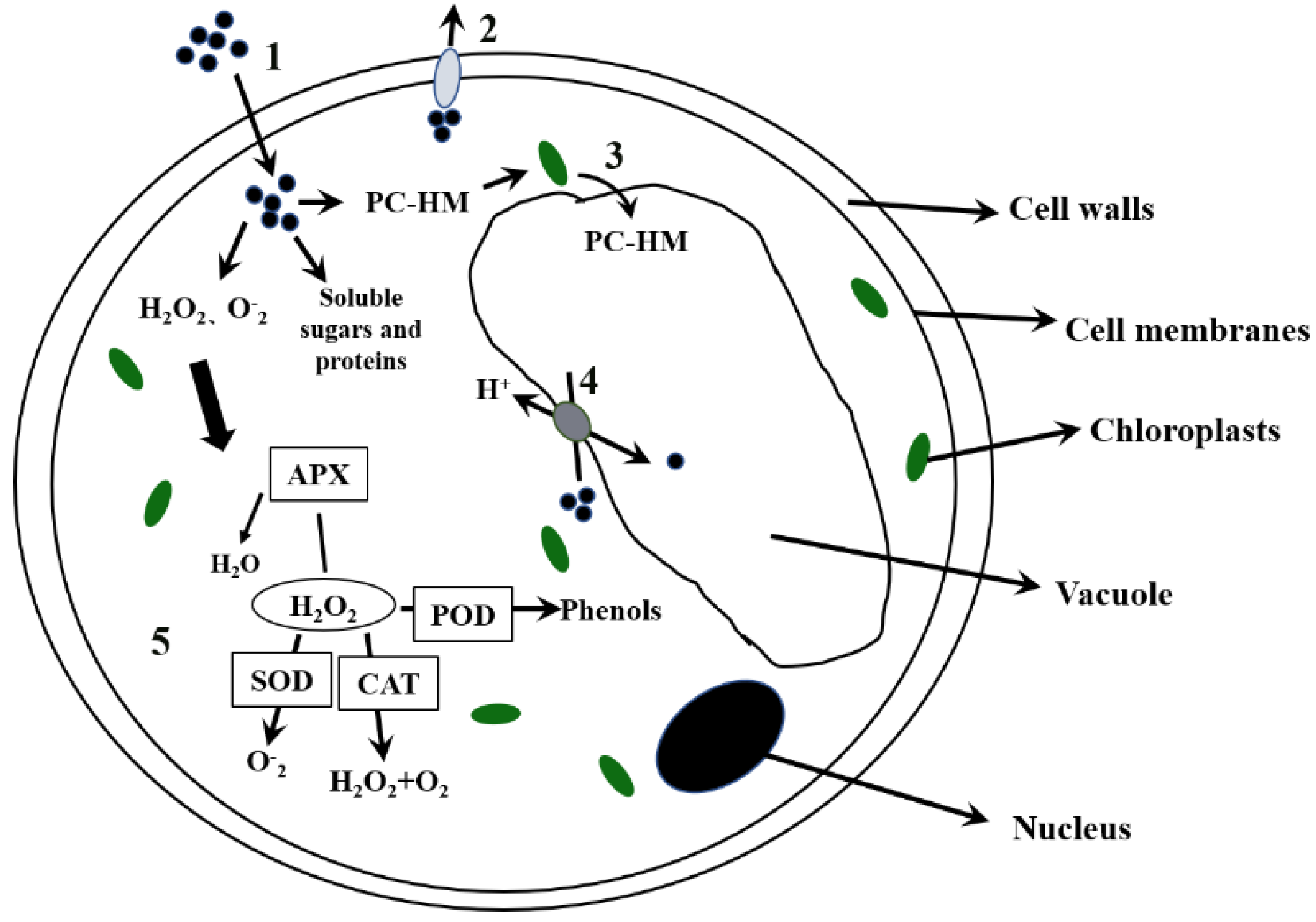 Processes 10 02638 g006 Processes 10 02638 g006
