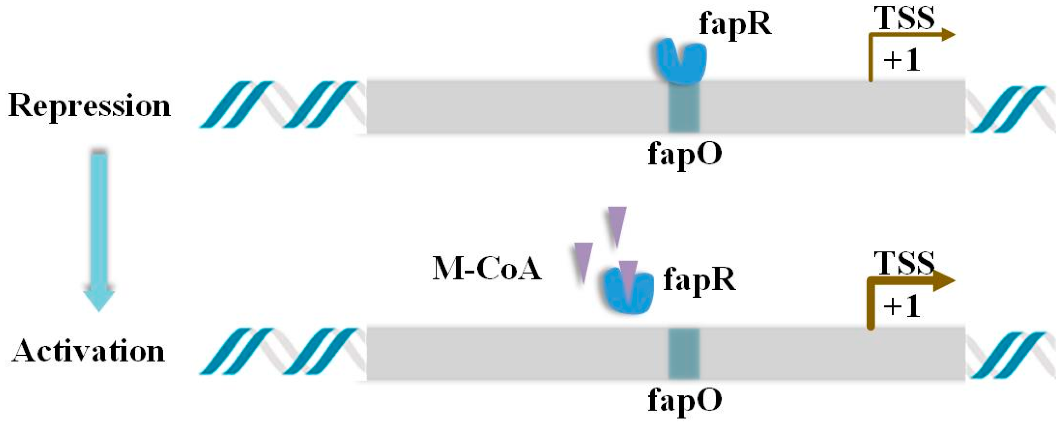 Processes 10 02660 g001