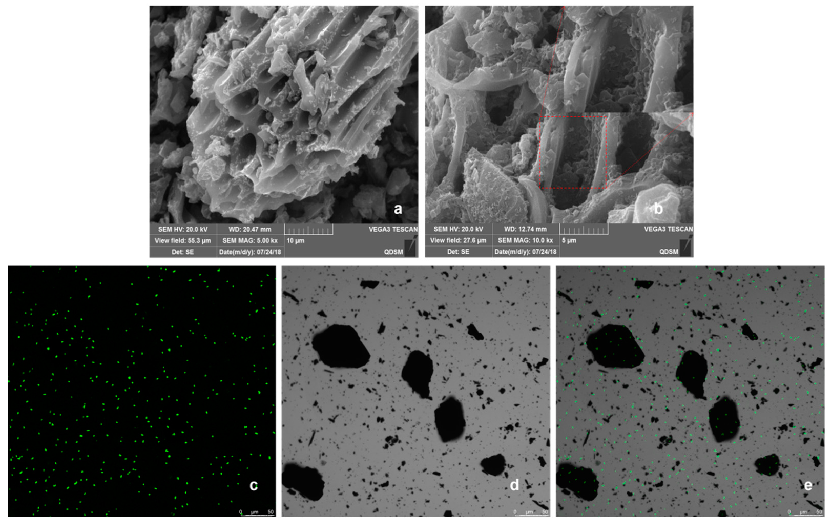 Processes 10 02663 g001 Processes 10 02663 g001