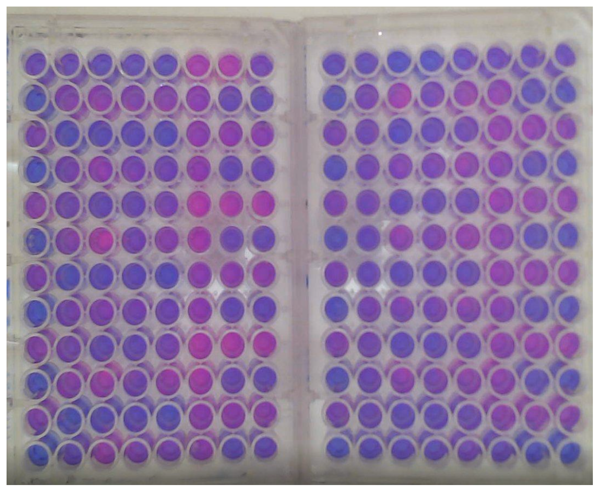 Processes 10 02680 g001