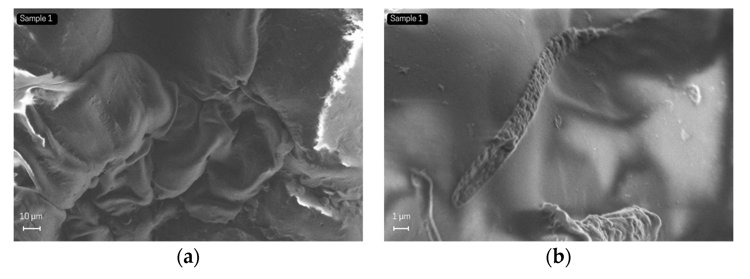 Processes 10 02737 g003a Processes 10 02737 g003a