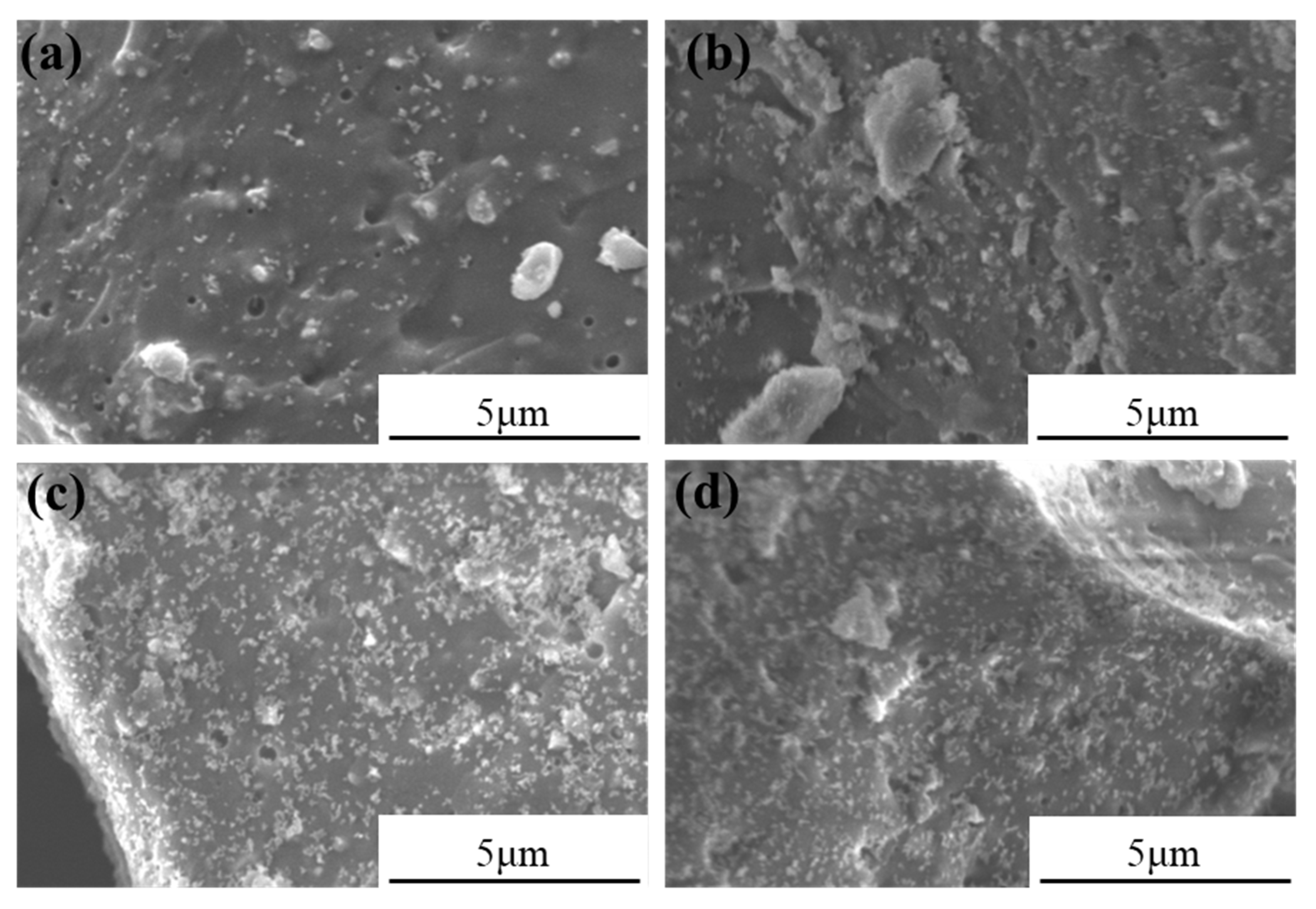 Processes 11 00002 g010 550