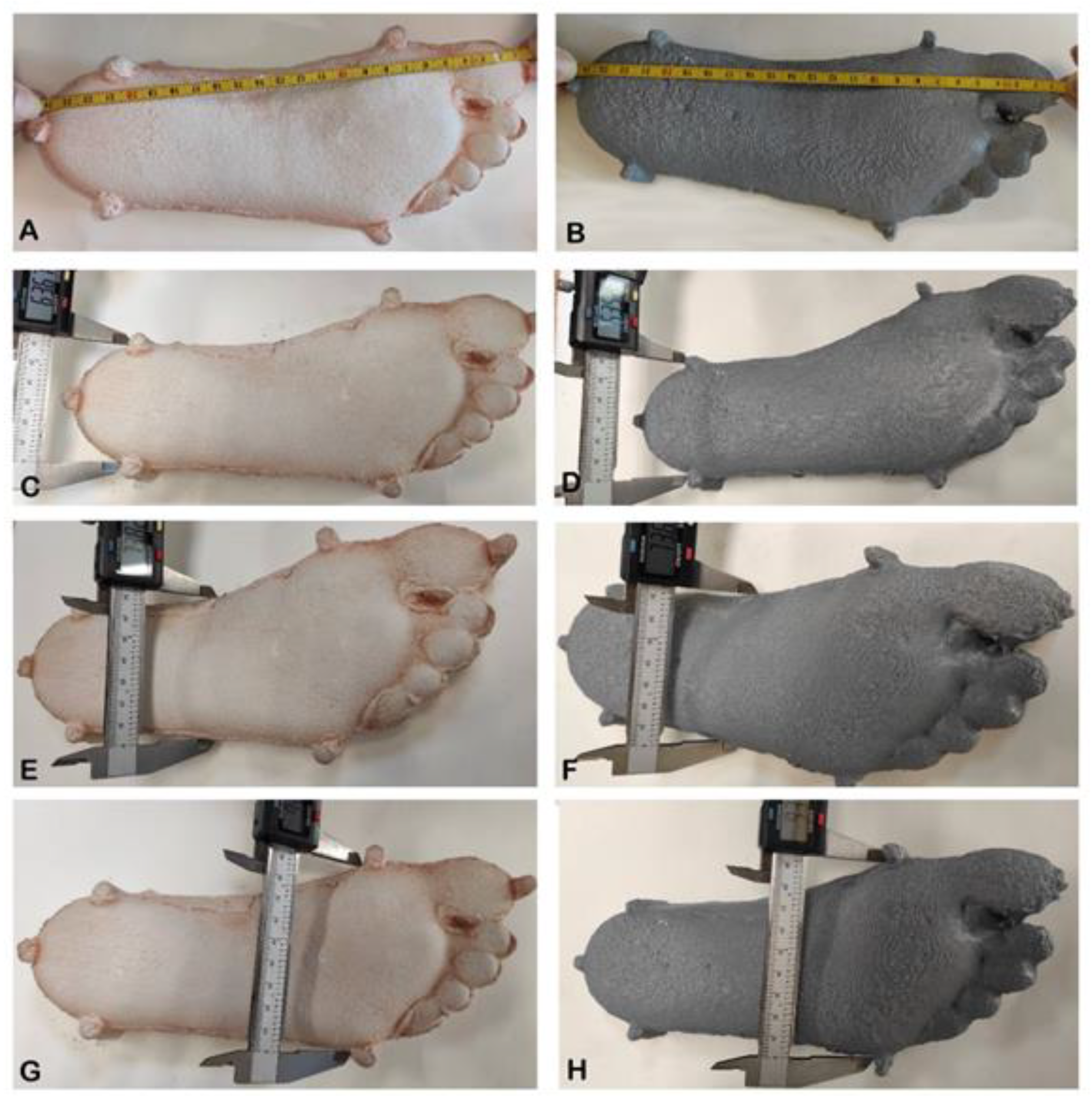 Processes 11 00024 g002 Processes 11 00024 g002