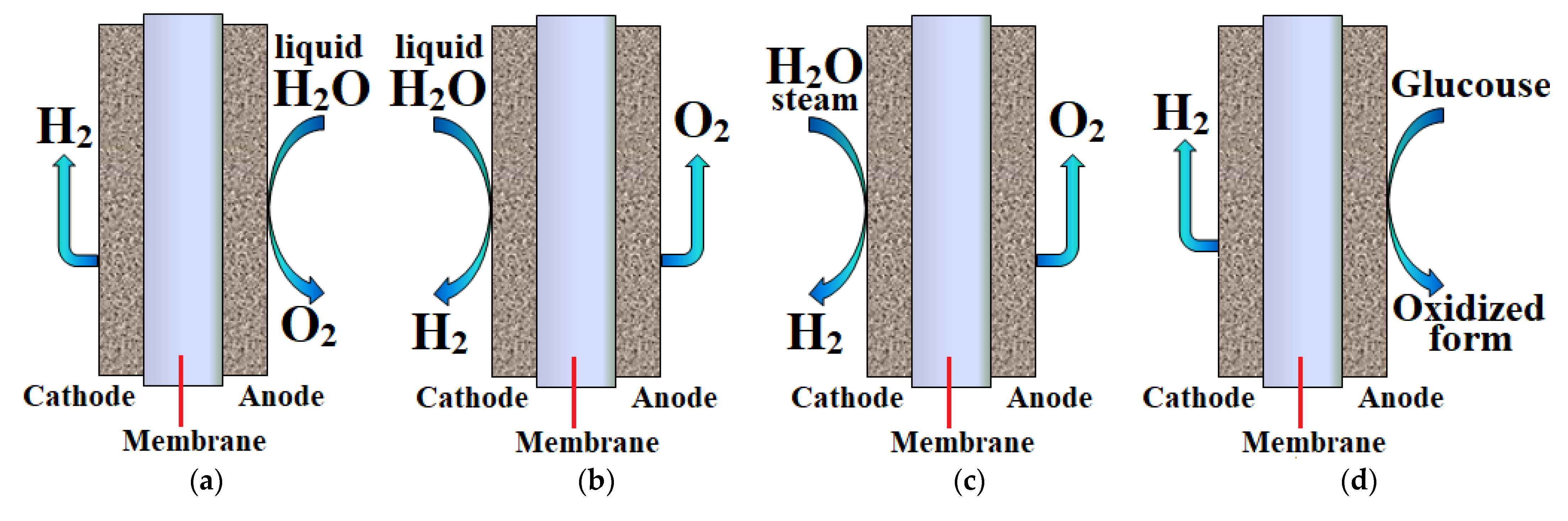 Processes 11 00056 g011 Processes 11 00056 g011