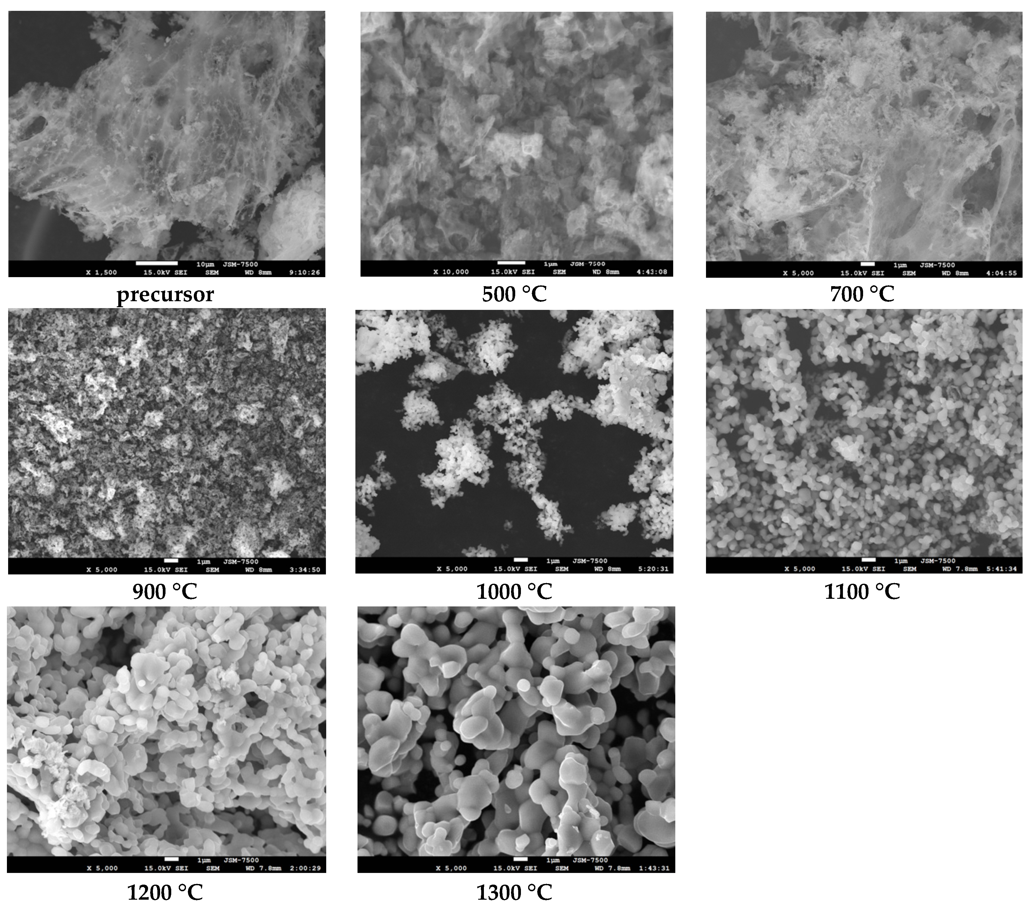 Processes 11 00060 g002