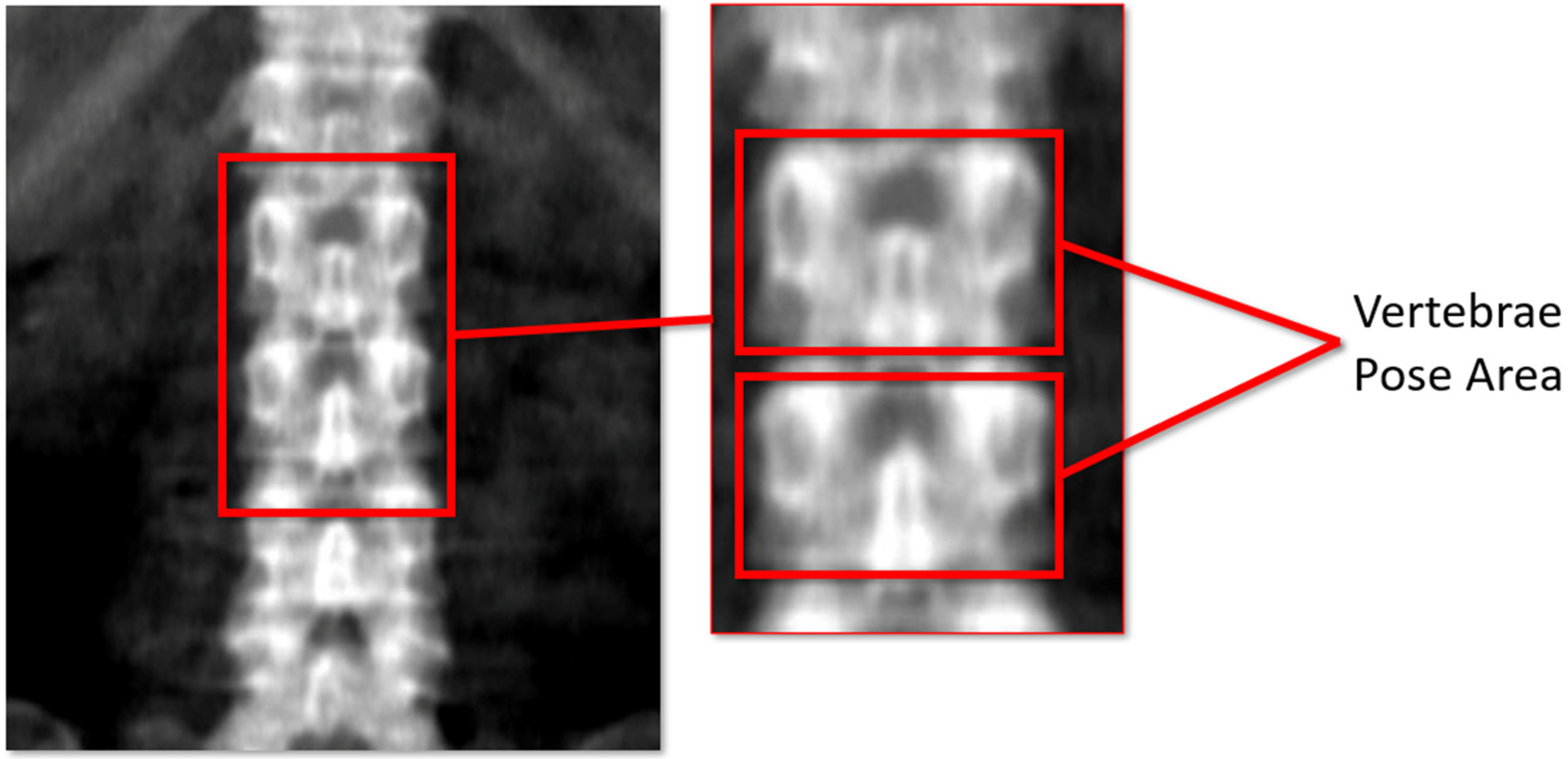 Processes 11 00061 g001