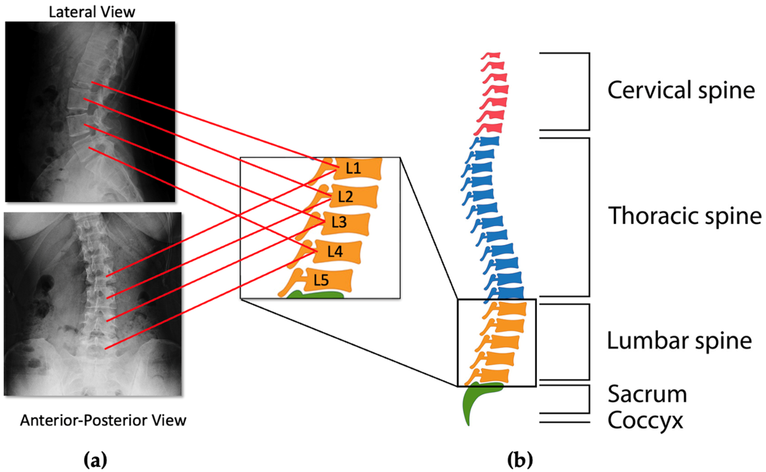 Processes 11 00061 g002