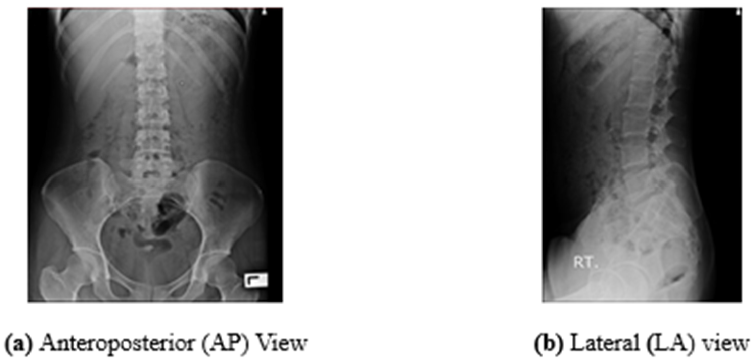 Processes 11 00061 g004