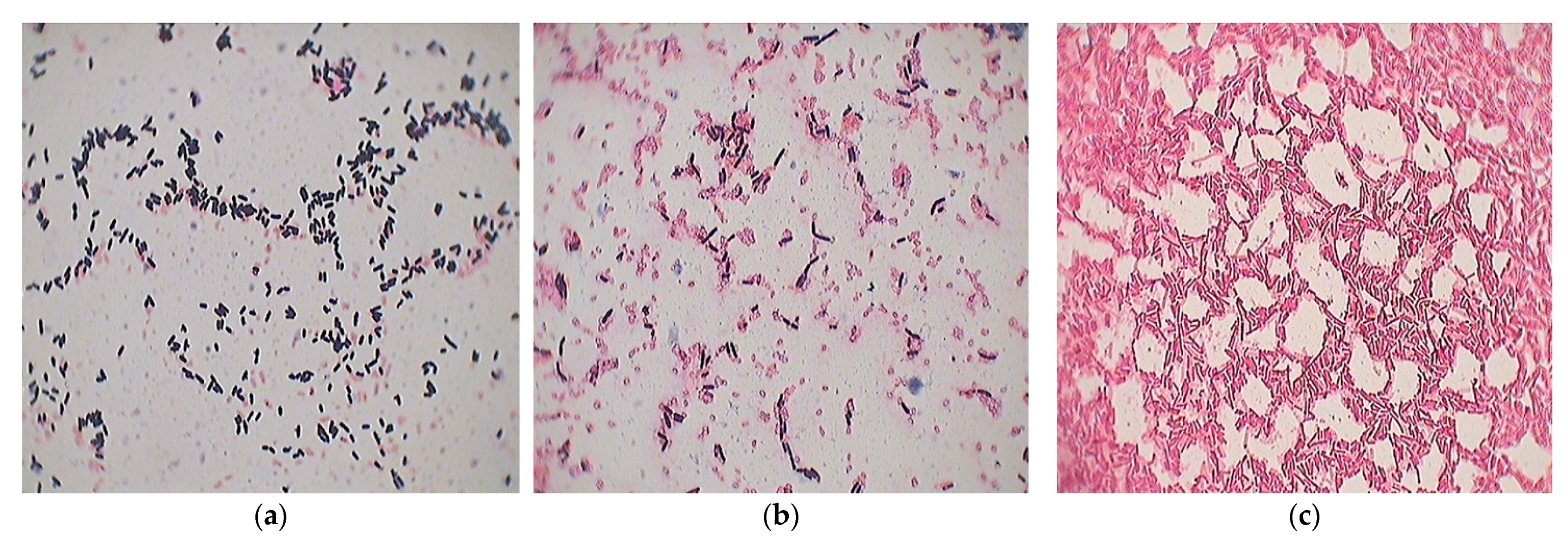 Processes 11 00080 g001