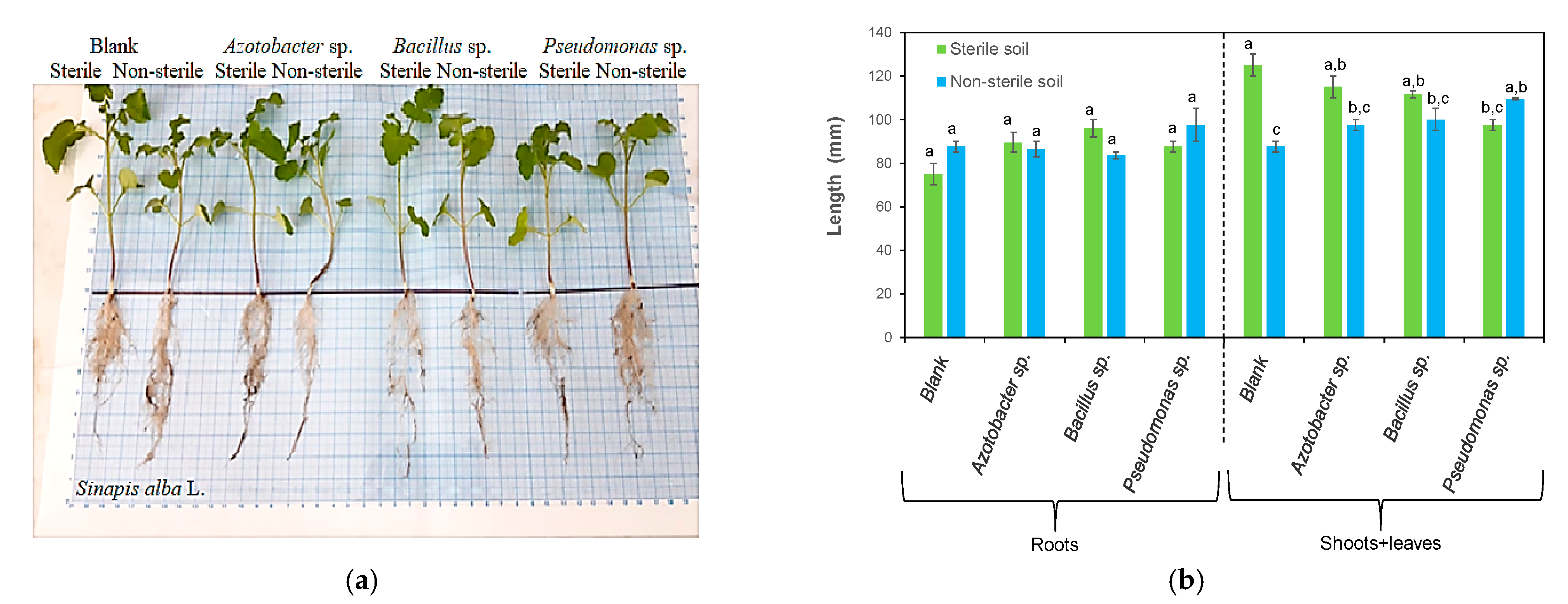 Processes 11 00080 g003