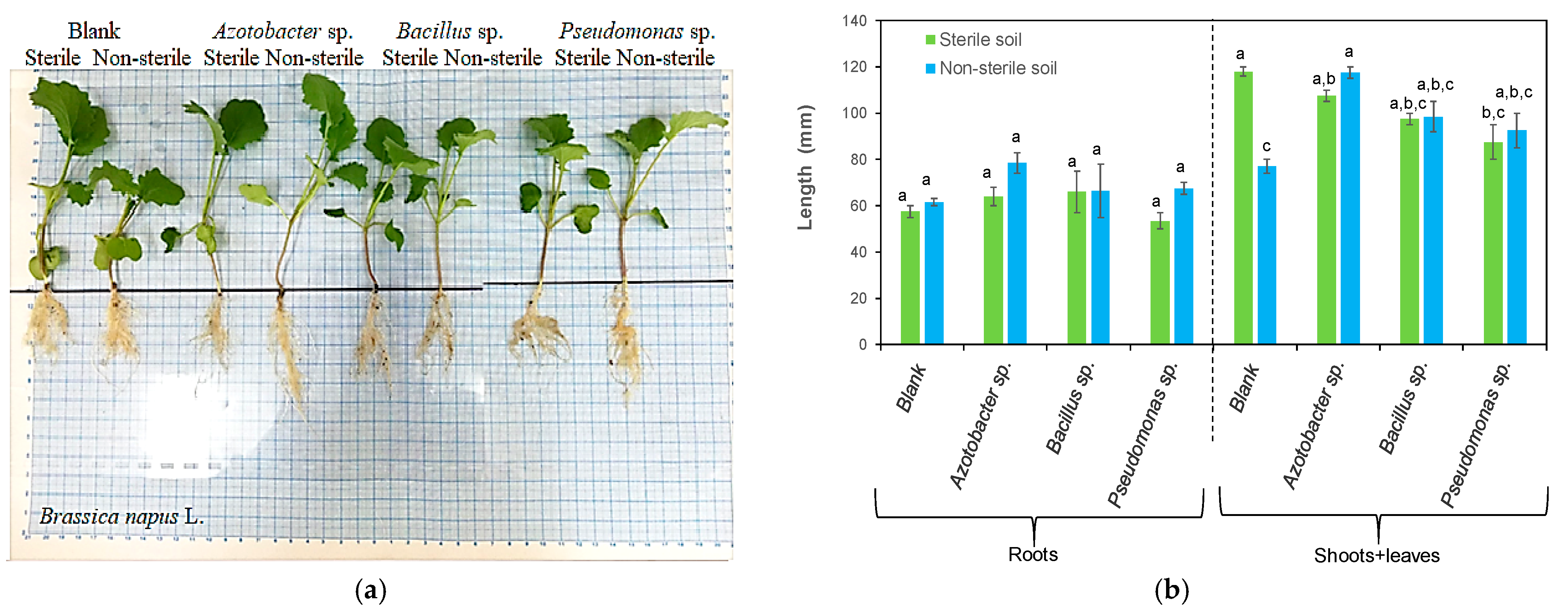 Processes 11 00080 g004