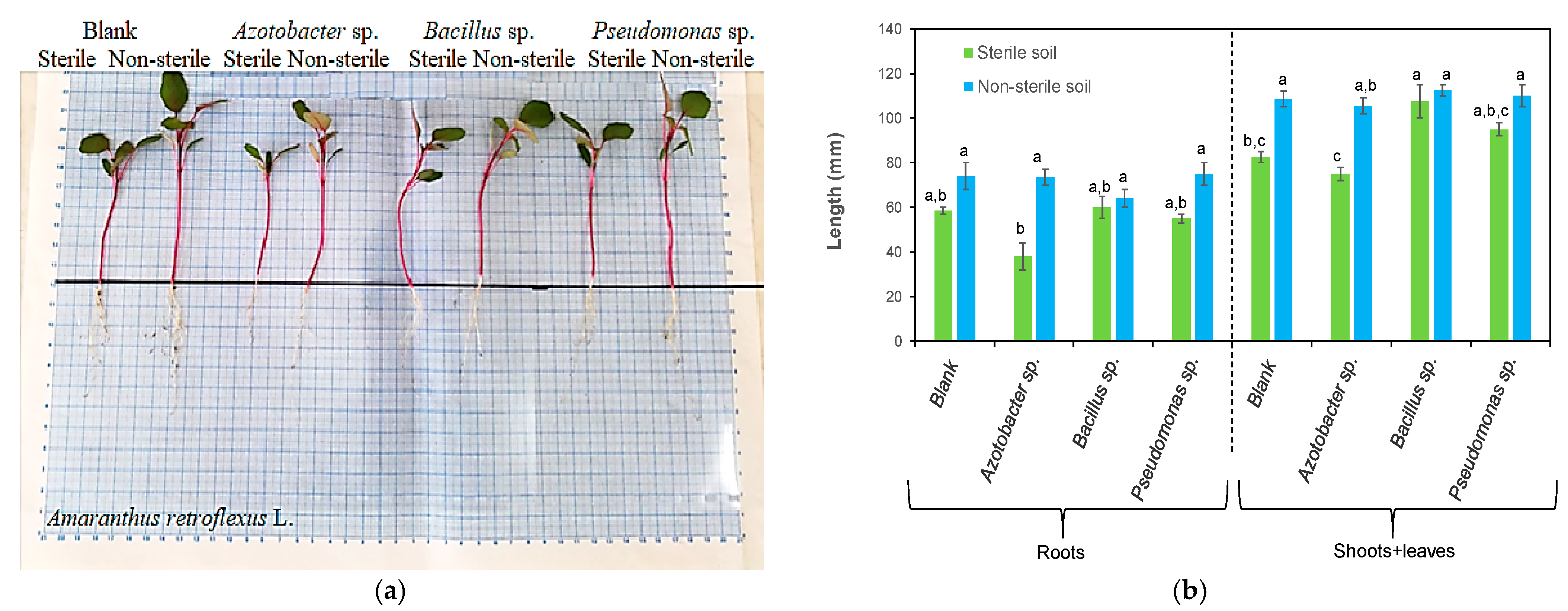 Processes 11 00080 g005