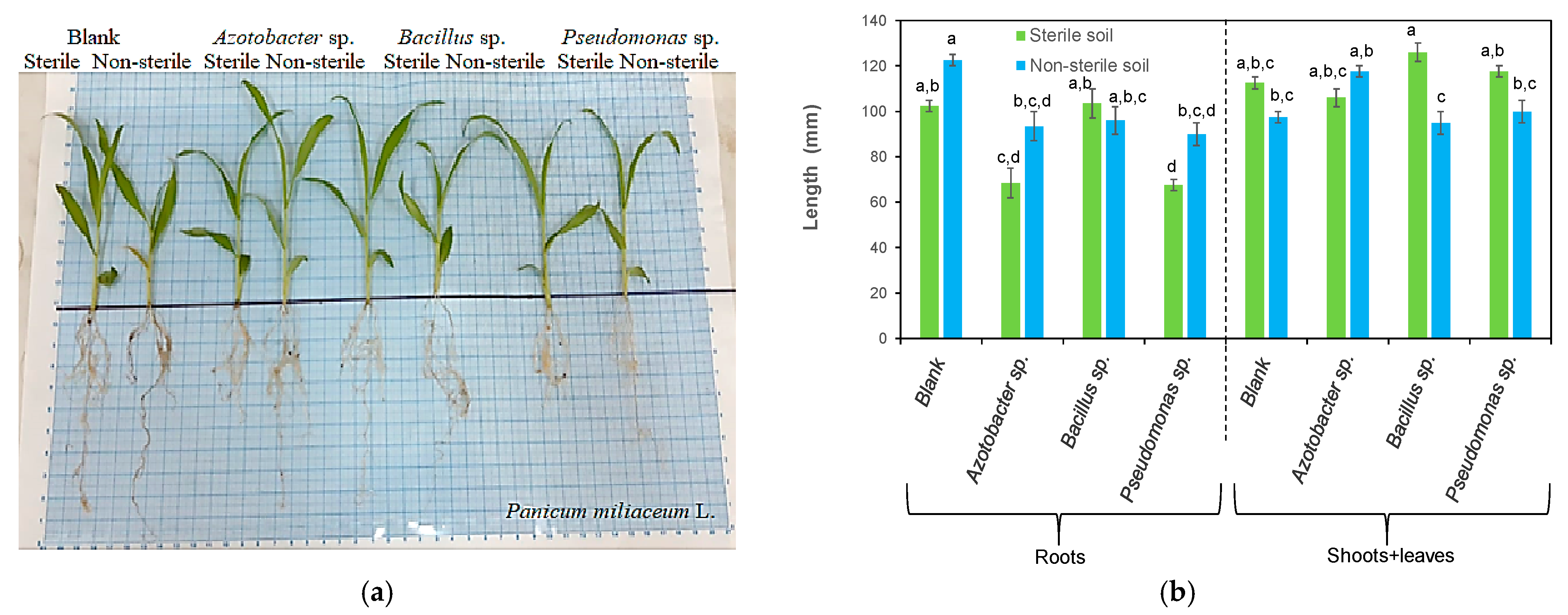 Processes 11 00080 g006