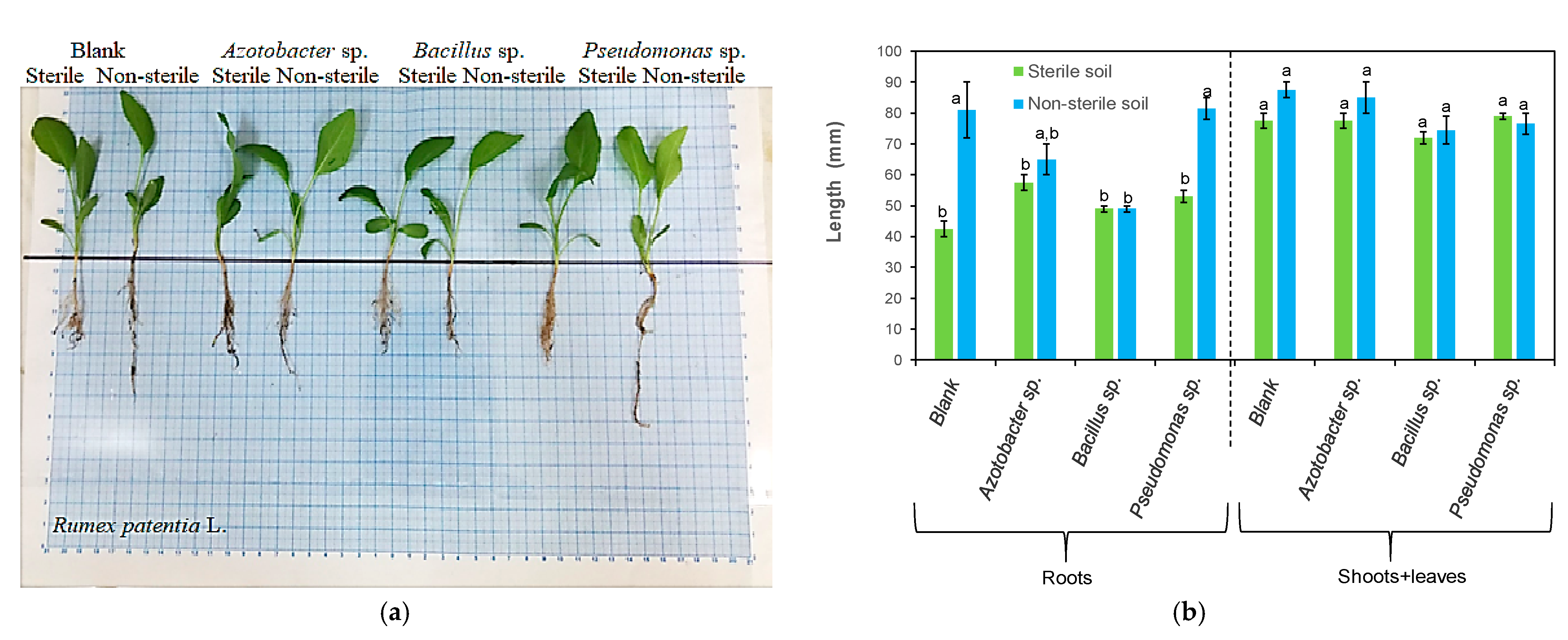 Processes 11 00080 g007