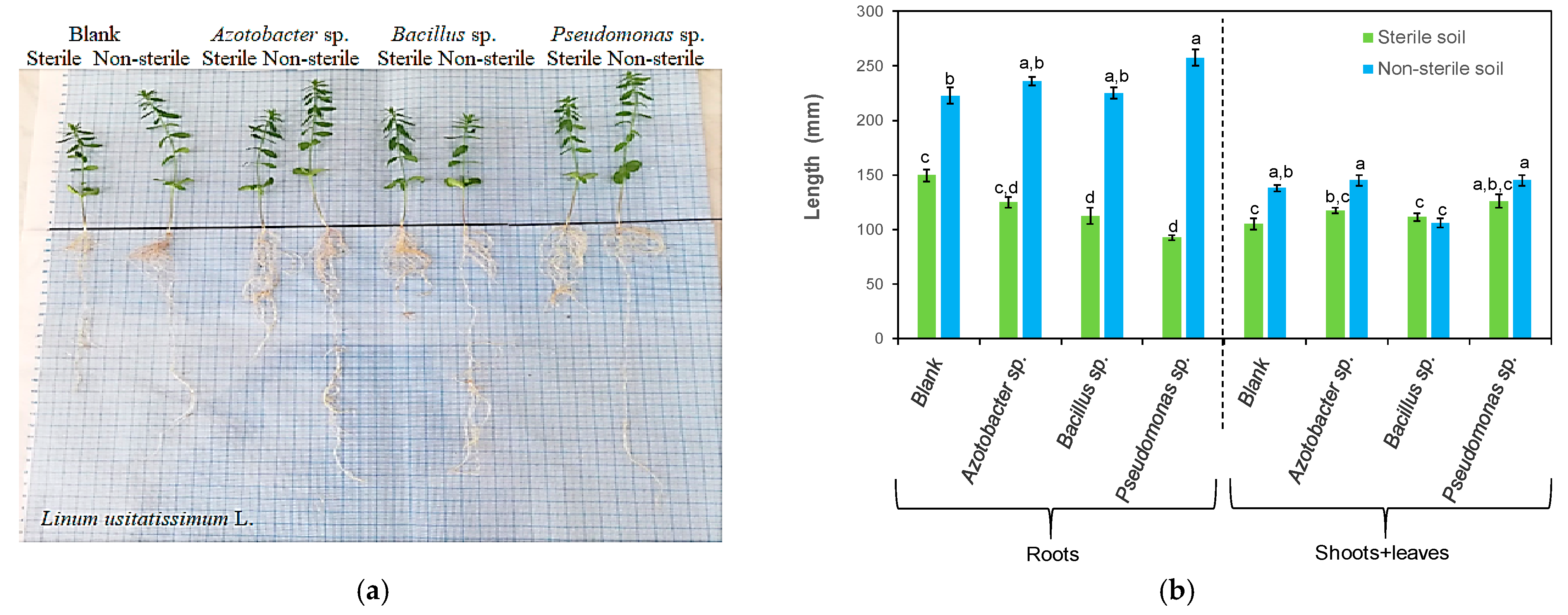 Processes 11 00080 g008