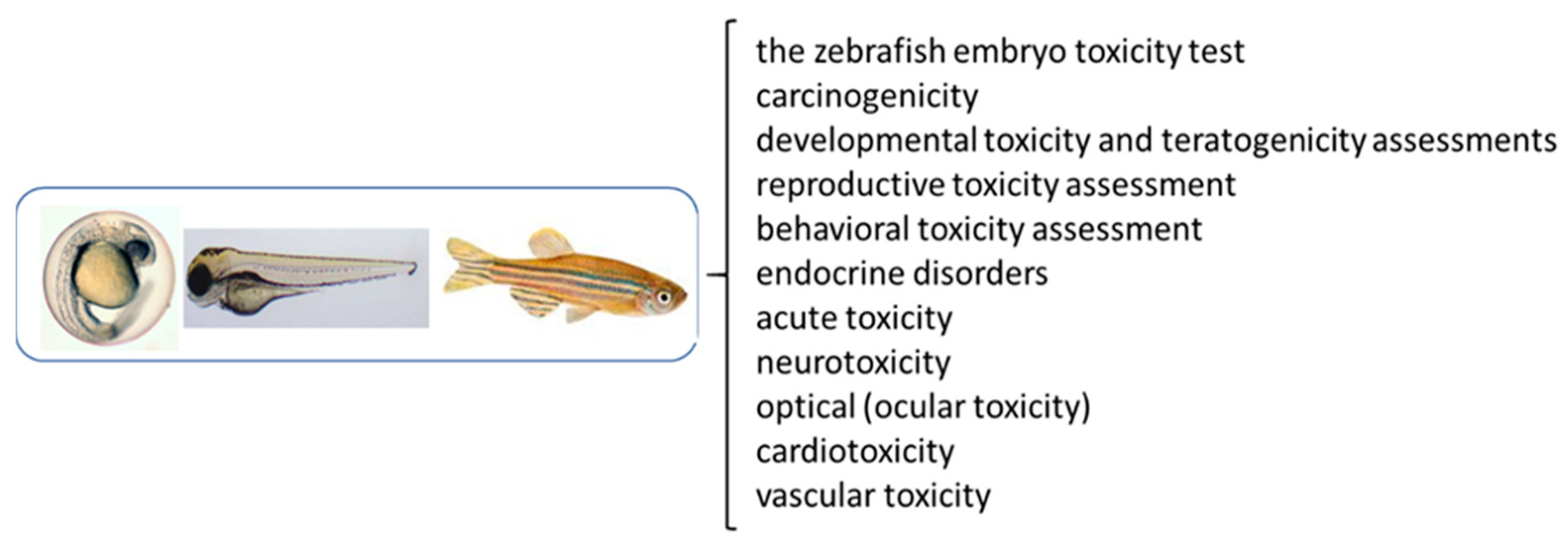 Processes | Free Full-Text | Current Trends in Toxicity Assessment of Herbal Medicines: A Narrative Review Processes | Free Full-Text | Current Trends in Toxicity Assessment of Herbal Medicines: A Narrative Review