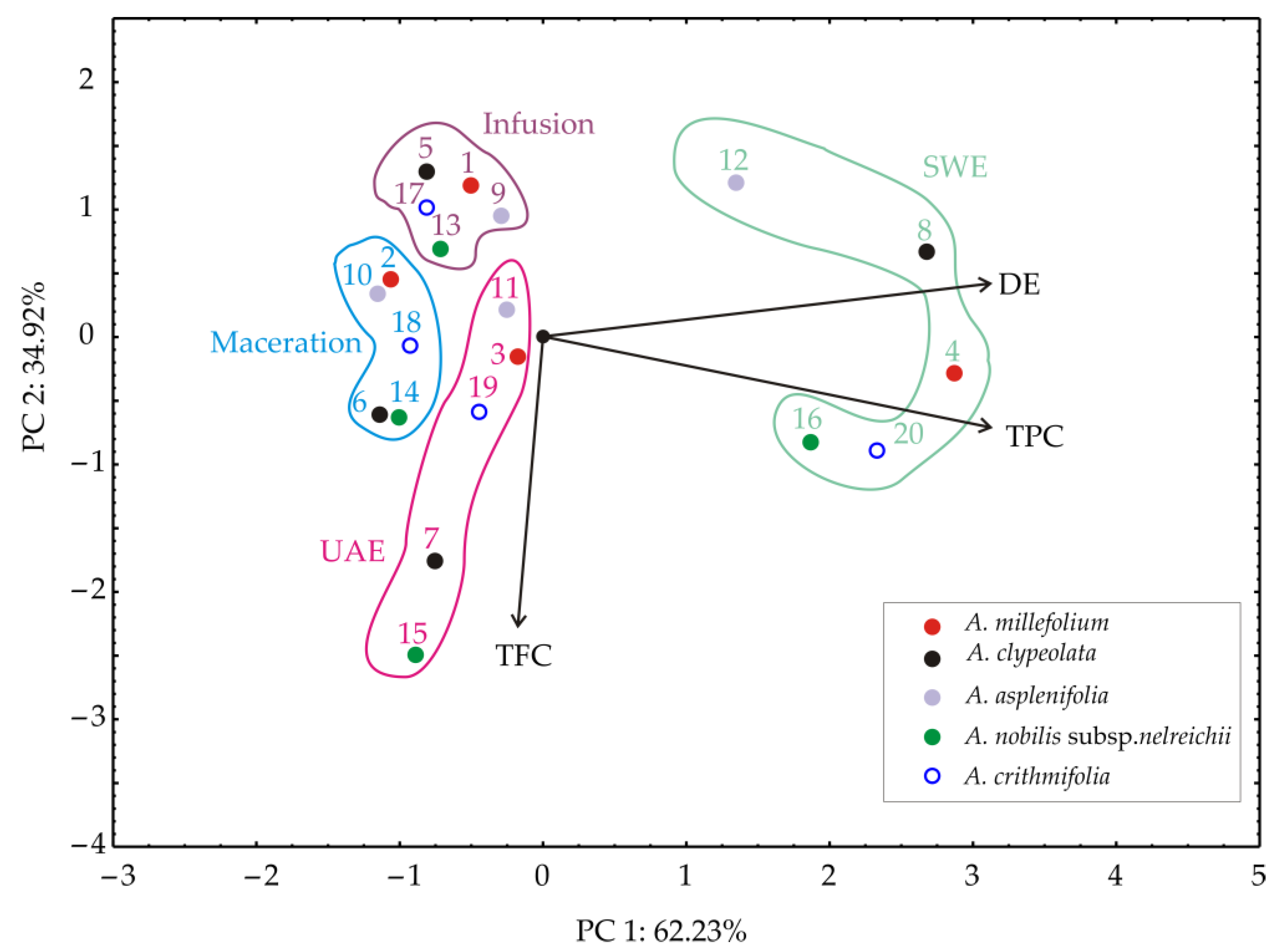 Processes 11 00086 g002