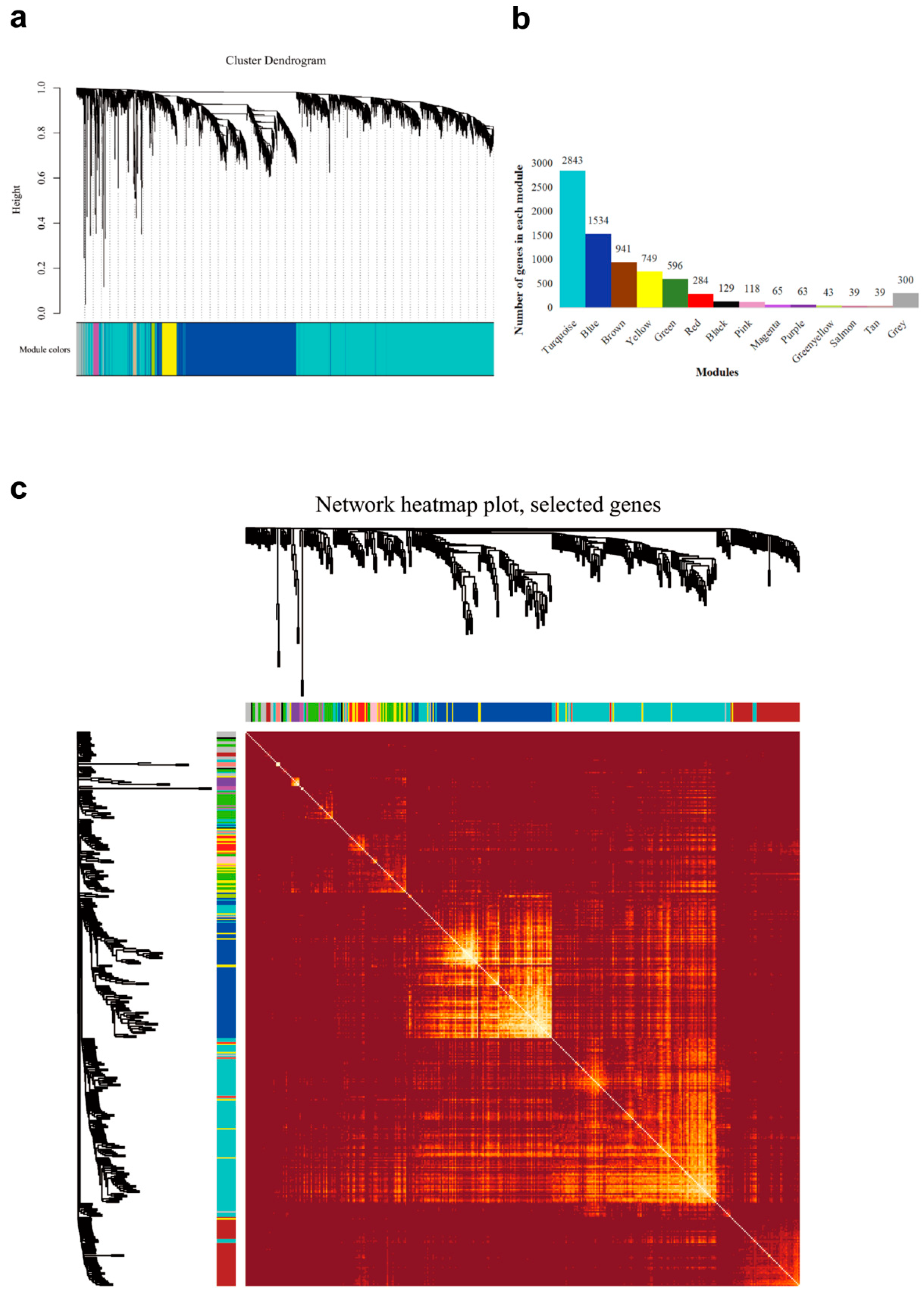Processes 11 00112 g006 Processes 11 00112 g006