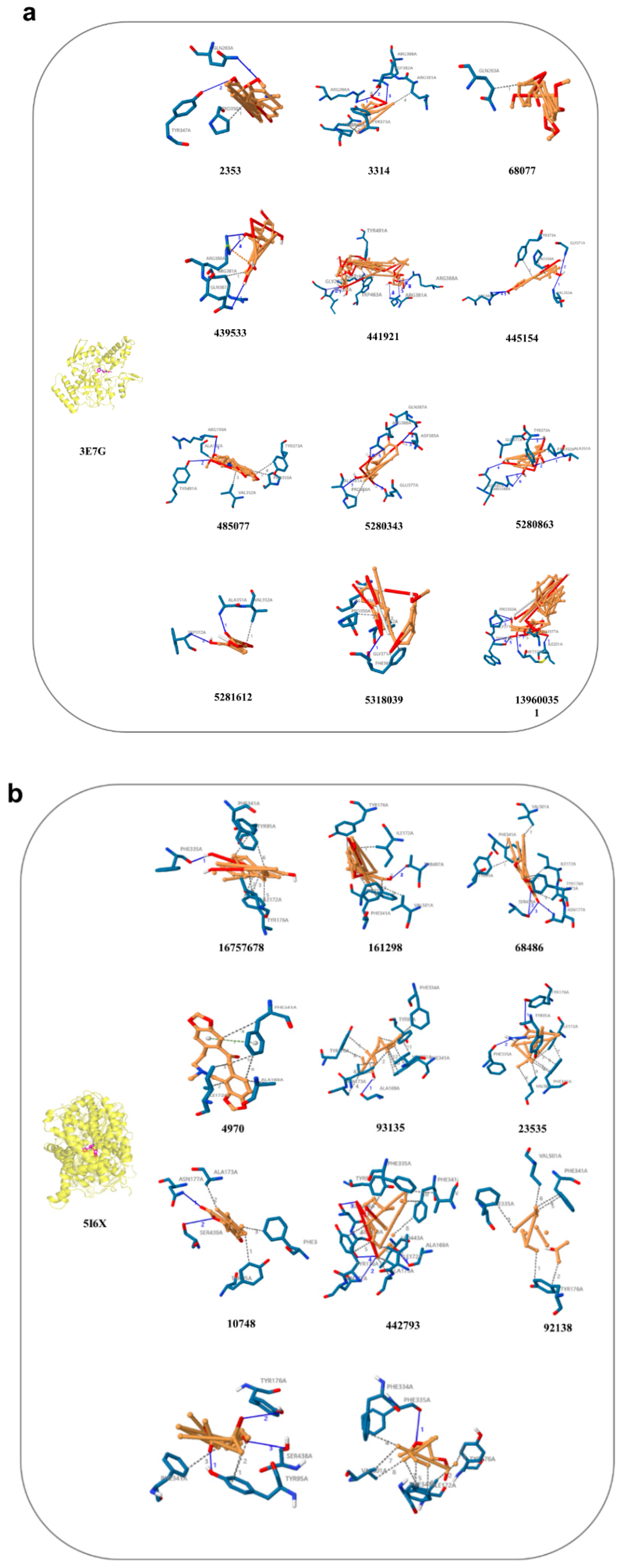 Processes 11 00112 g011a Processes 11 00112 g011a