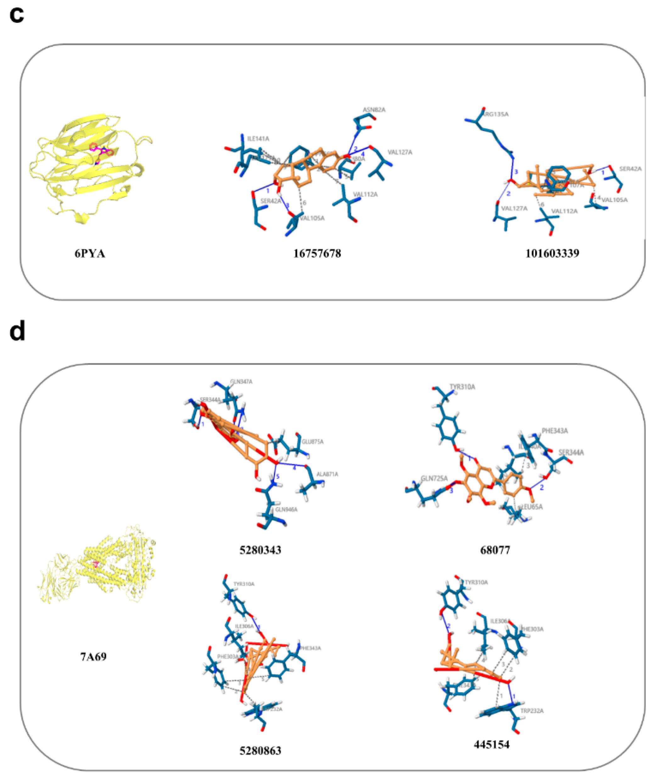 Processes 11 00112 g011b Processes 11 00112 g011b