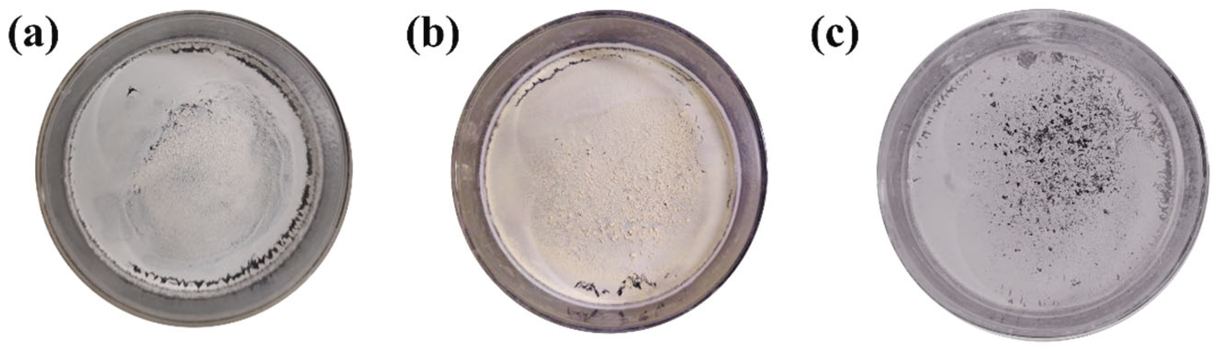 Processes 11 00115 g001 550