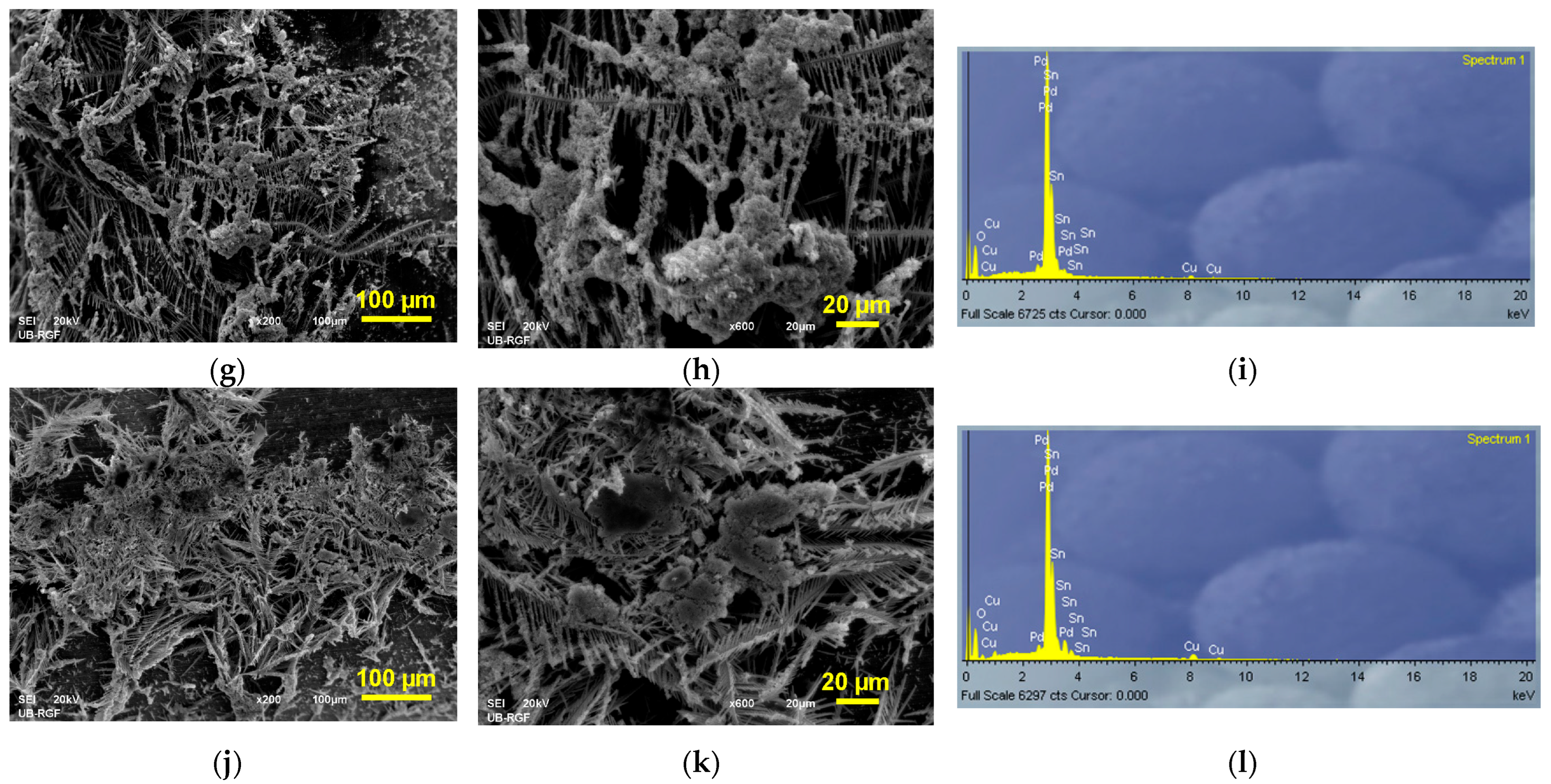 Processes 11 00120 g003b