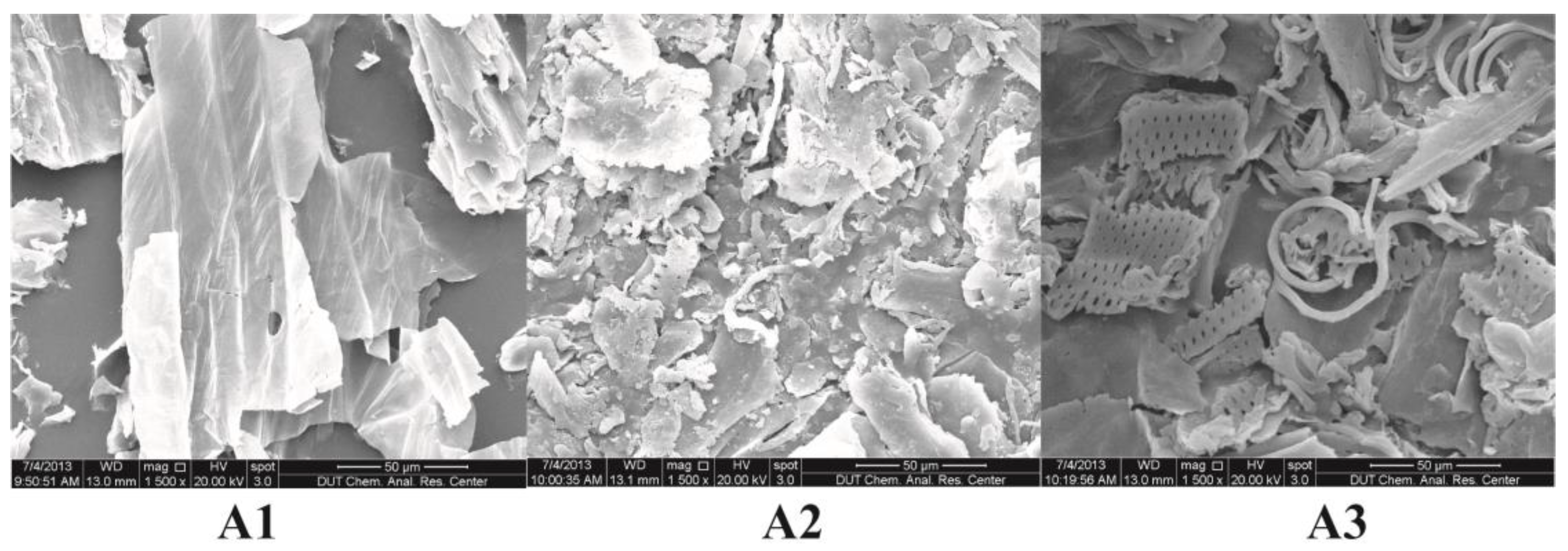 Processes 11 00127 g004